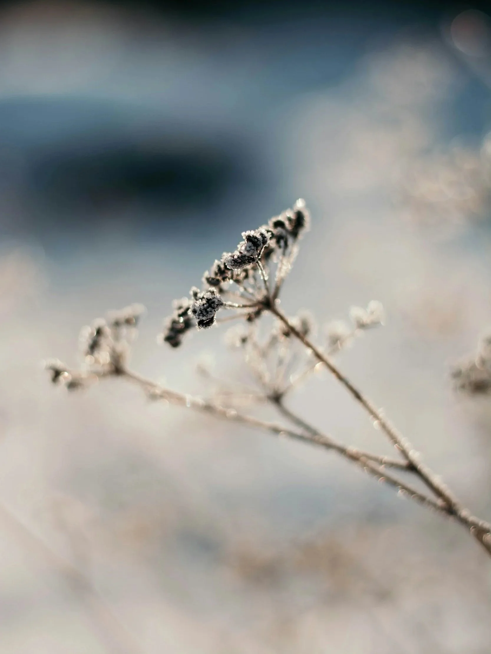 unsplash-image-dExnyeePU68.jpg