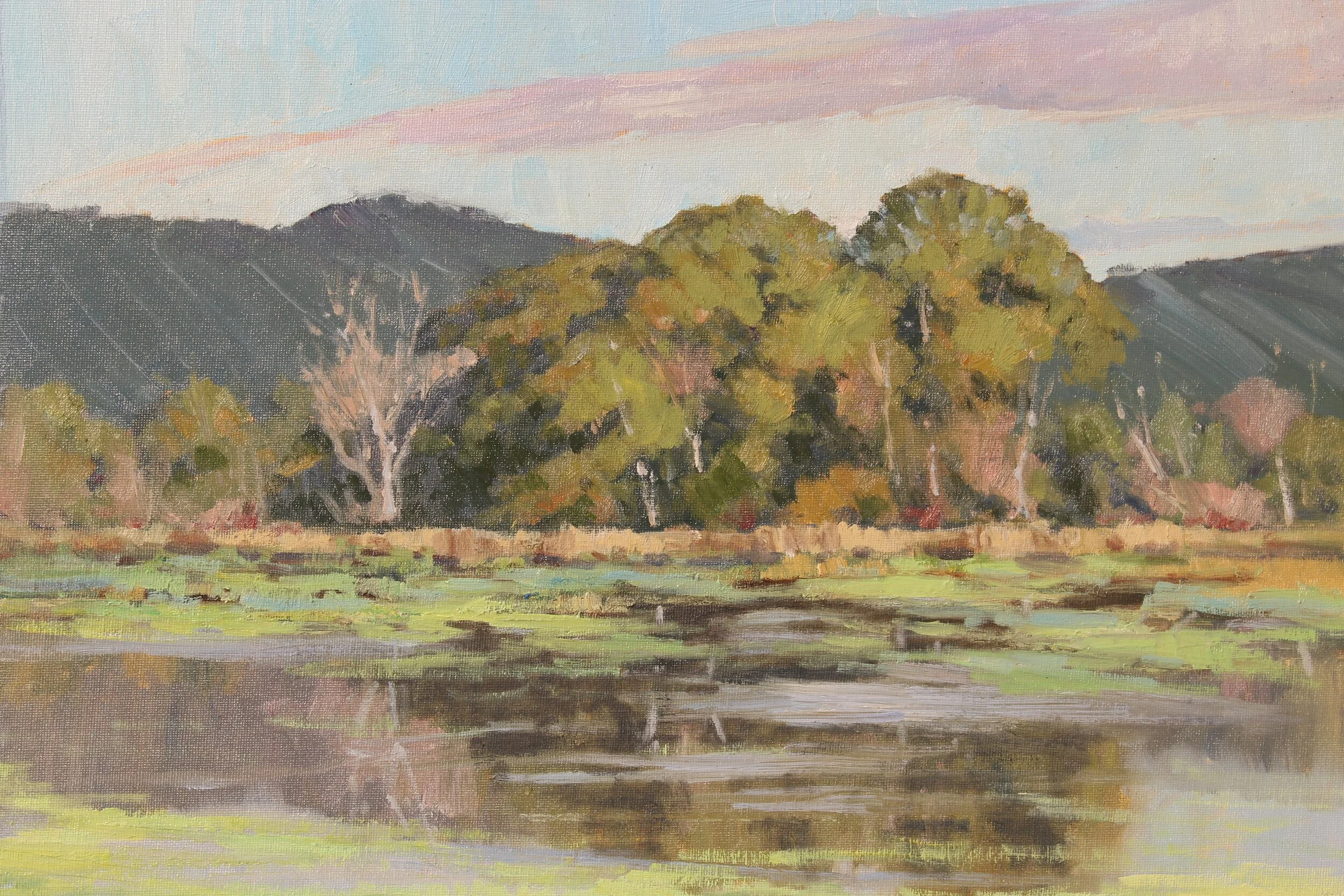Soft Light Wetlands