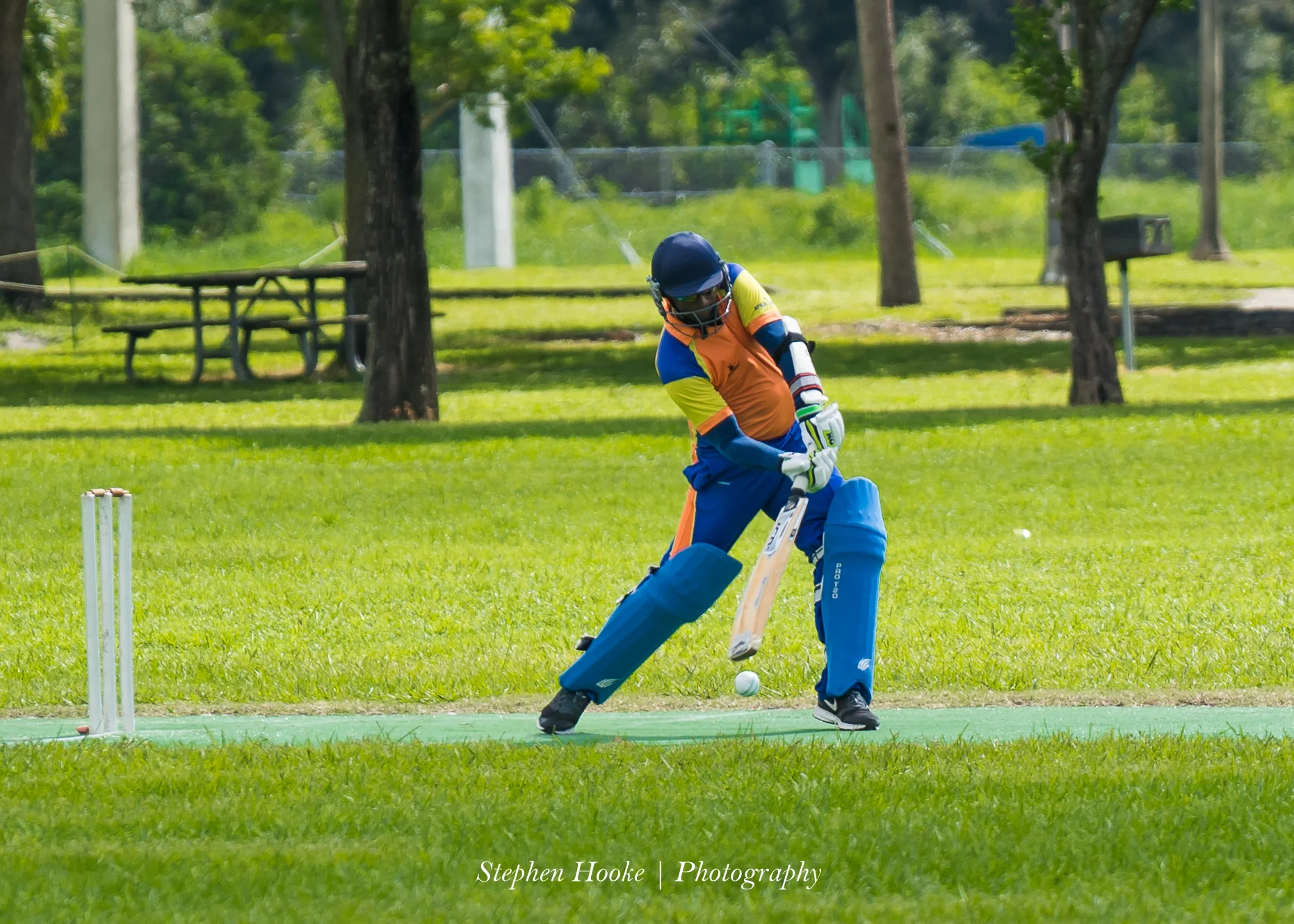 SHP-07436.jpg