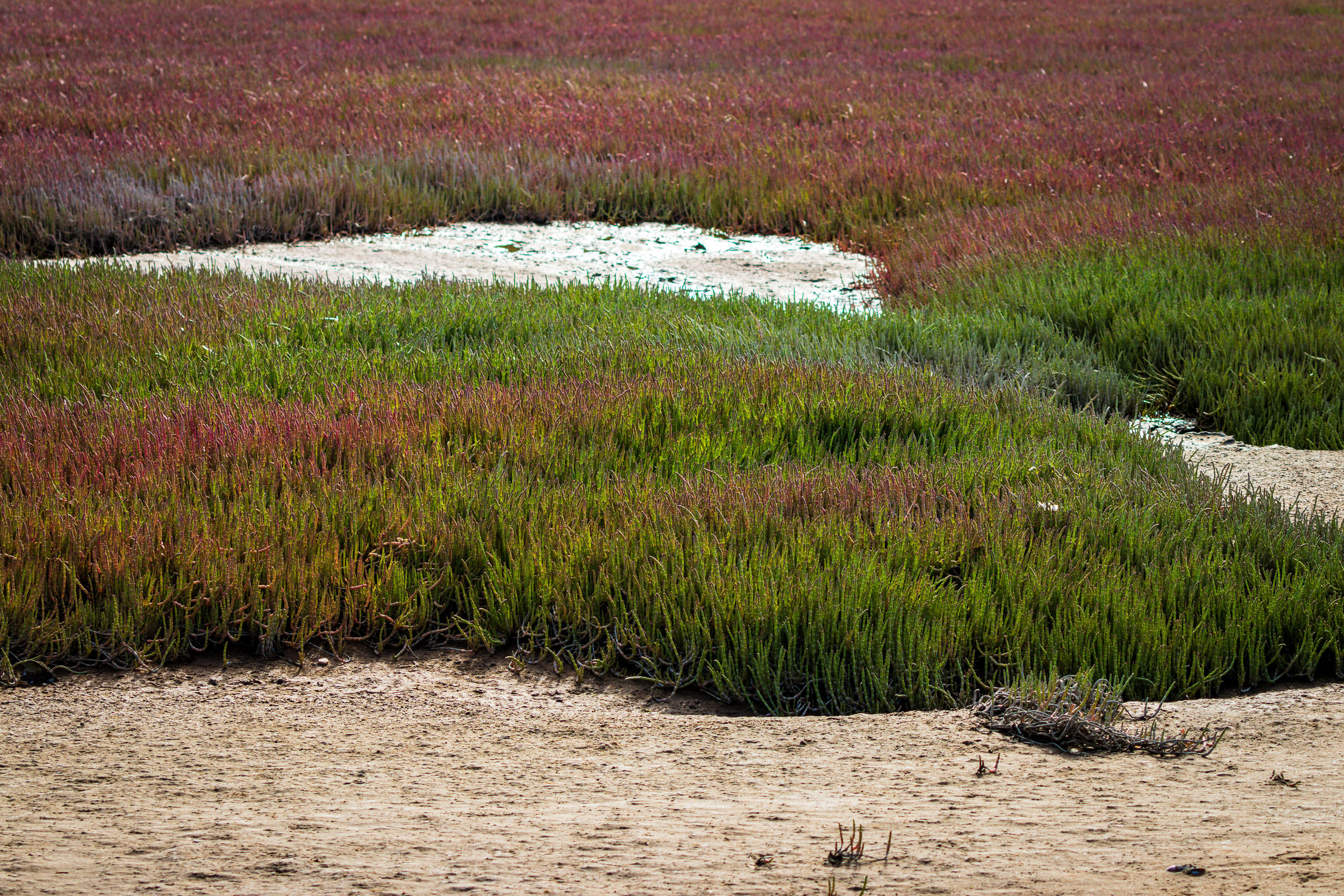 October 15, 2003 Task Force Meeting
