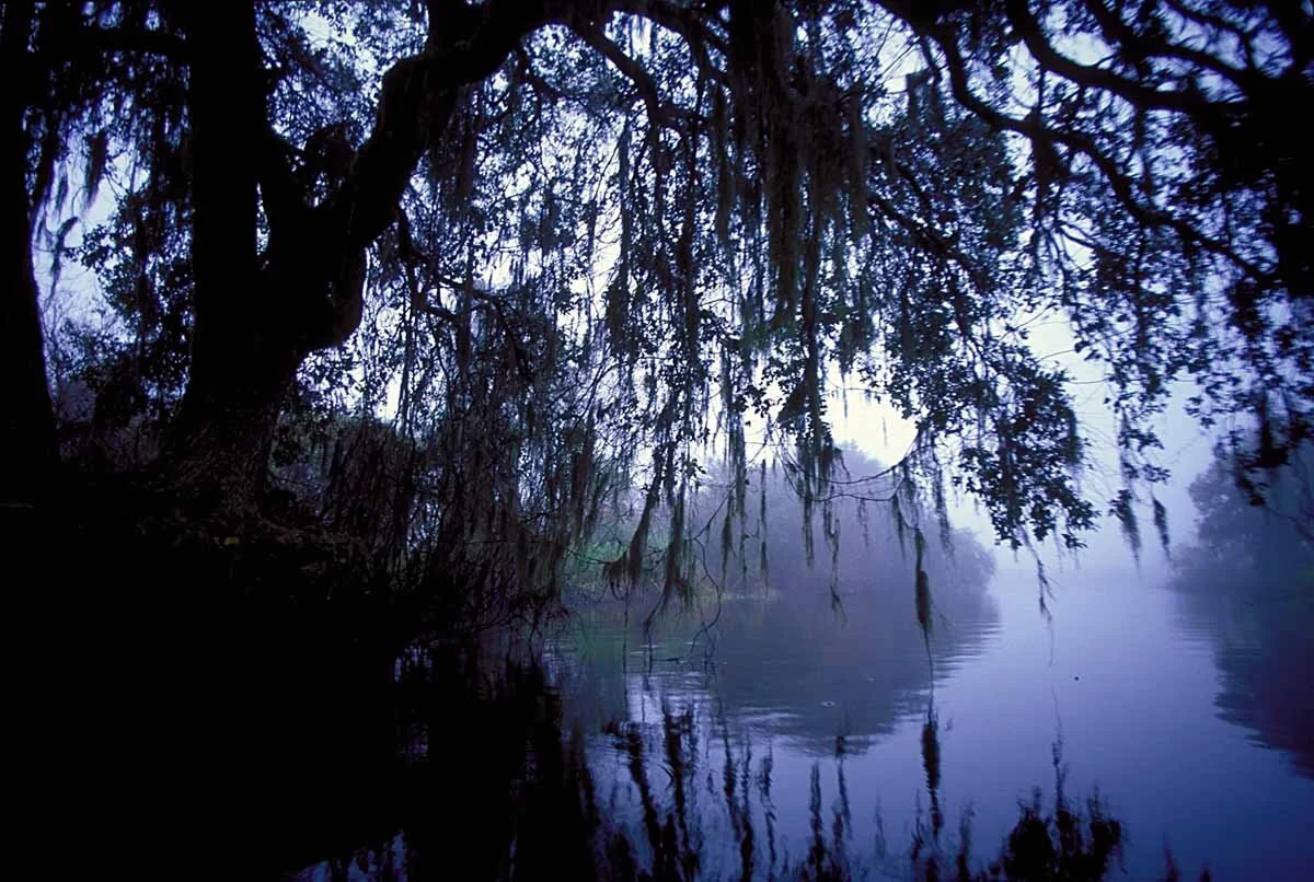 April 19-20, 2007 Working Group Meeting