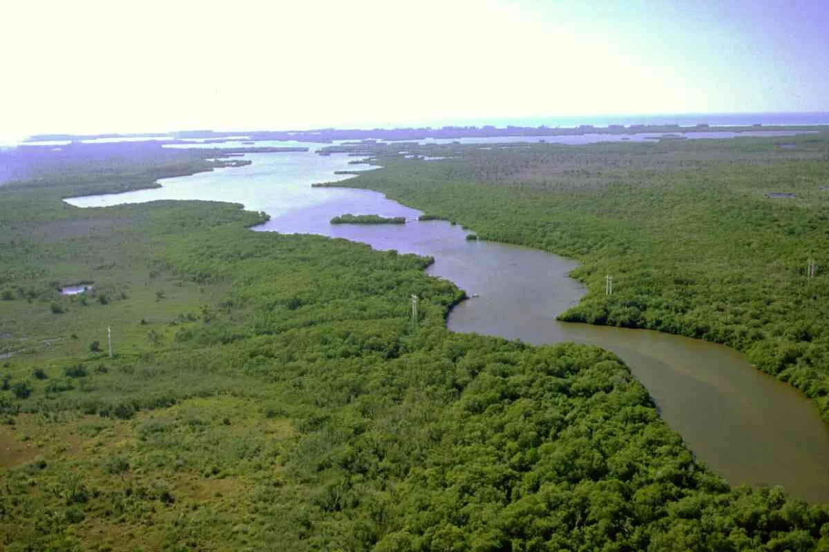 July 19-20, 2007 Working Group Meeting