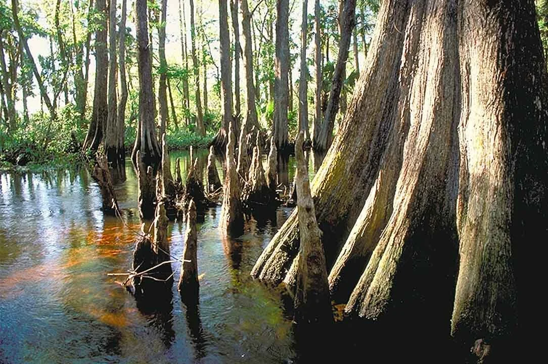 April 20-21, 2006 Working Group Meeting