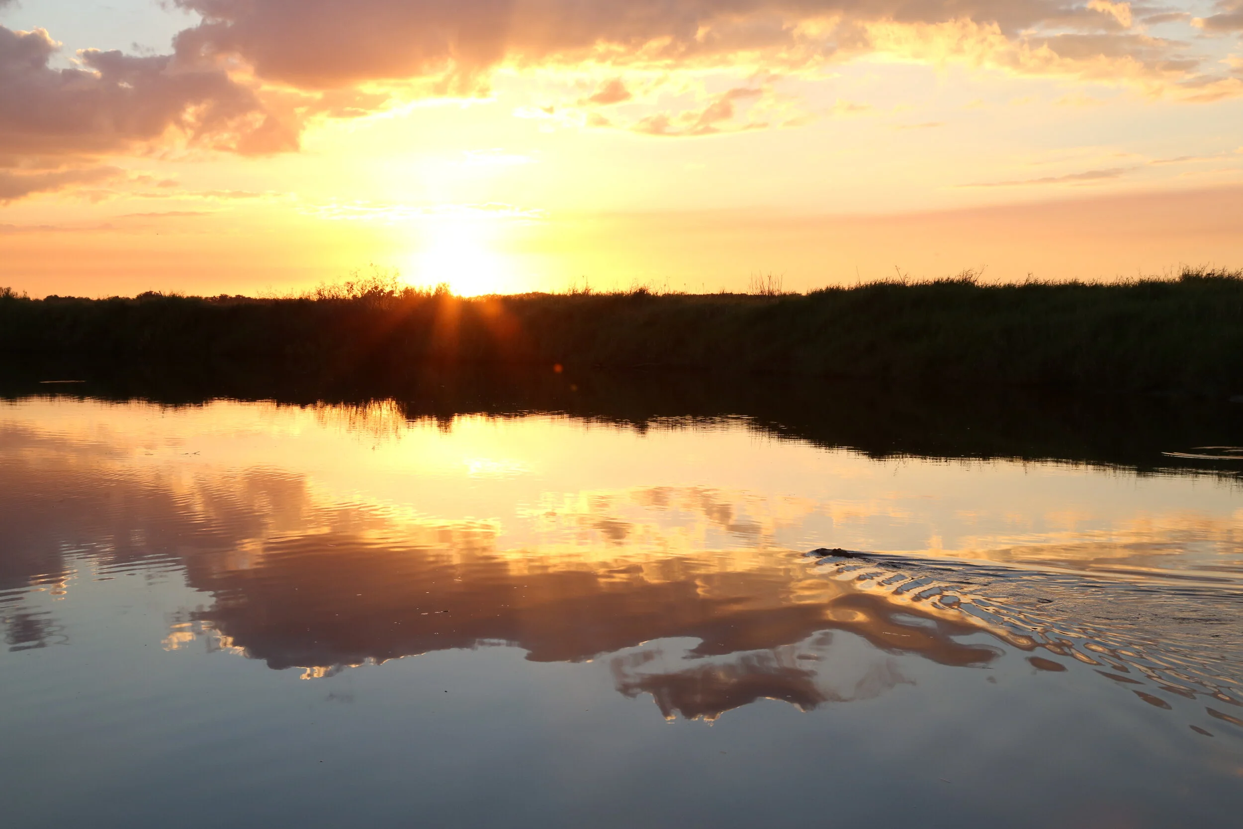 July 24-25, 2001 Working Group Meeting