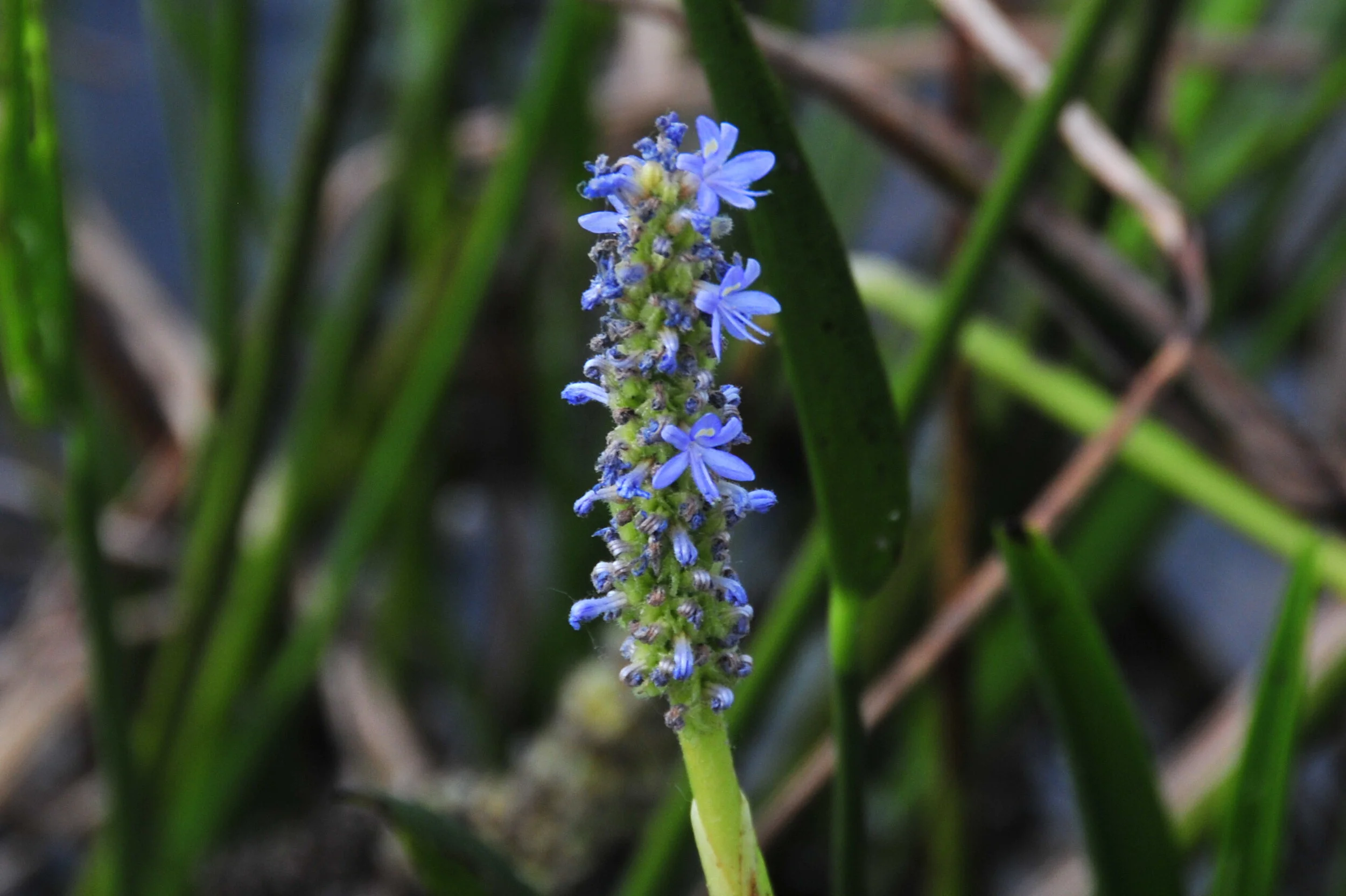 March 28, 2003 Working Group Meeting