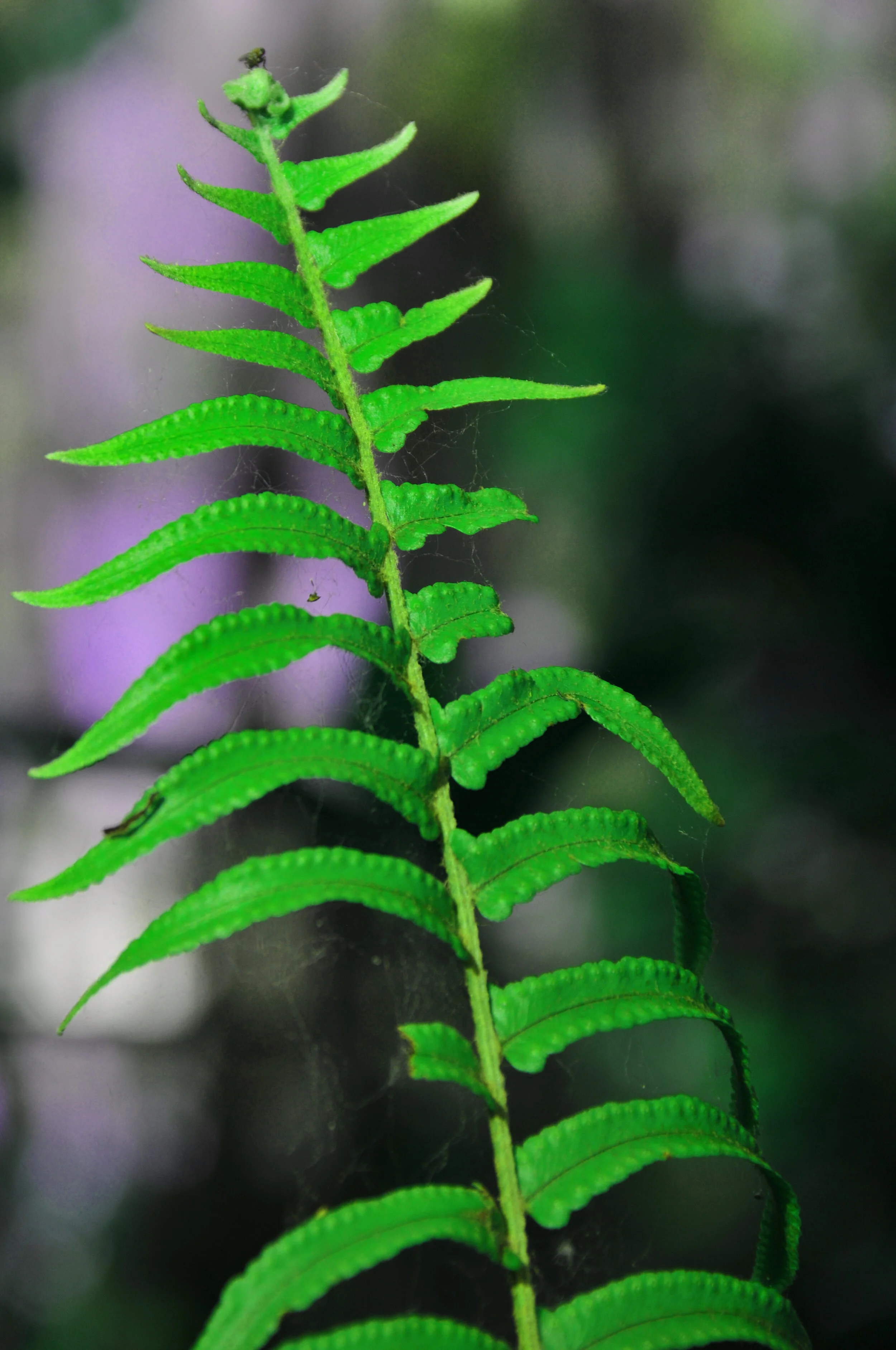 January 9, 2003 Working Group Meeting