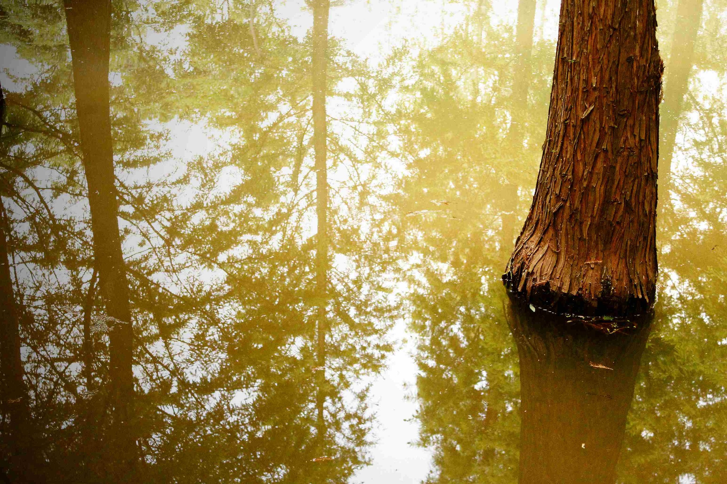 September 29, 2016 Science Coordination Group Meeting