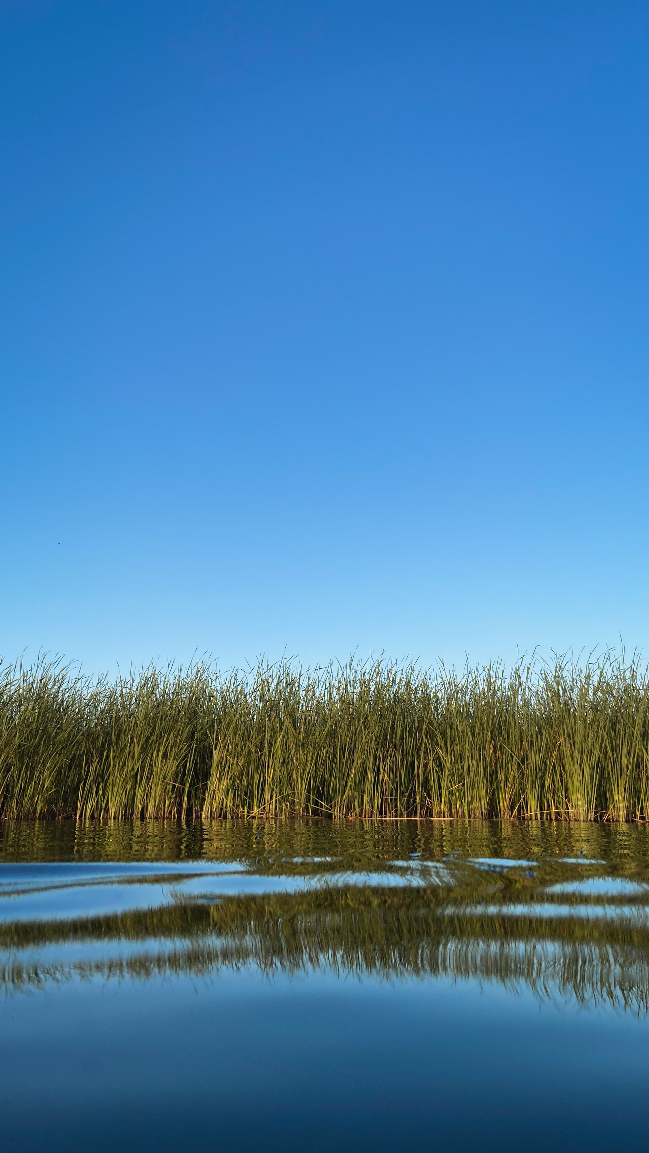 January 26, 2015 Science Coordination Group Meeting