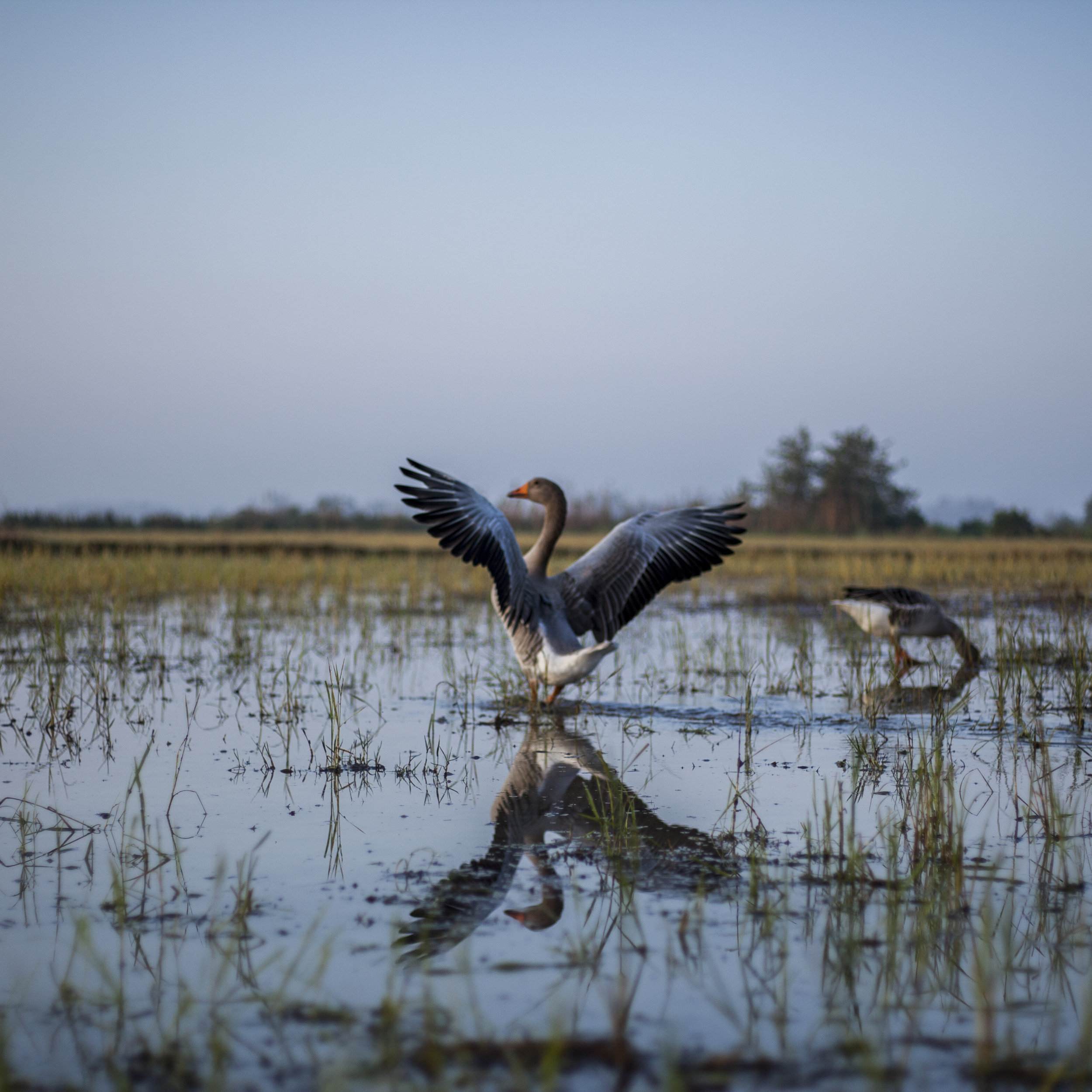 October 23, 2014 Science Coordination Group Meeting