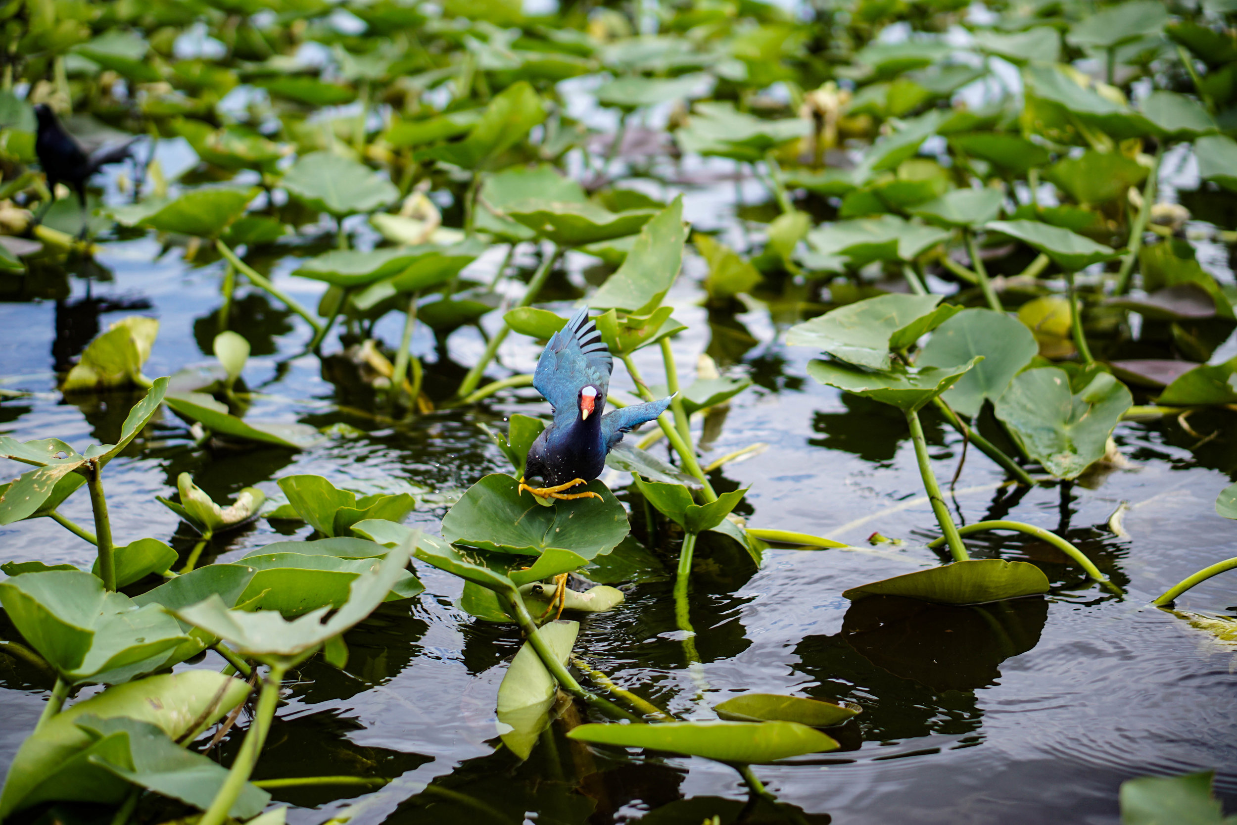 April 2, 2014 Science Coordination Group Meeting