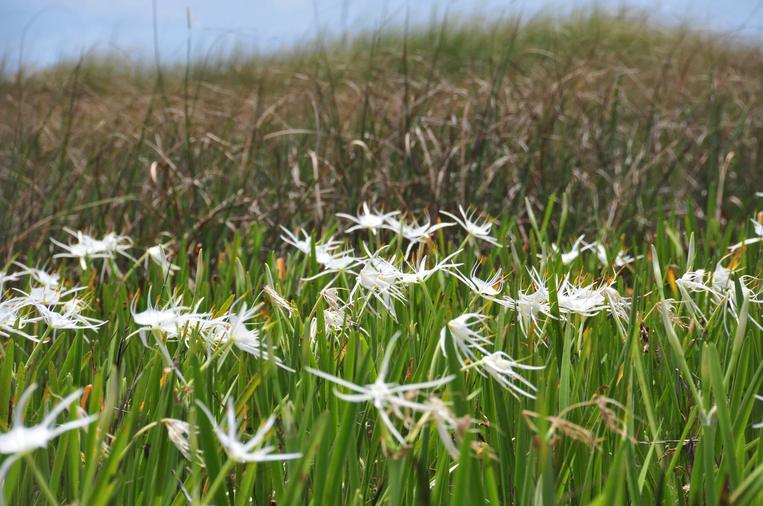 June 24, 2010 Task Force Meeting
