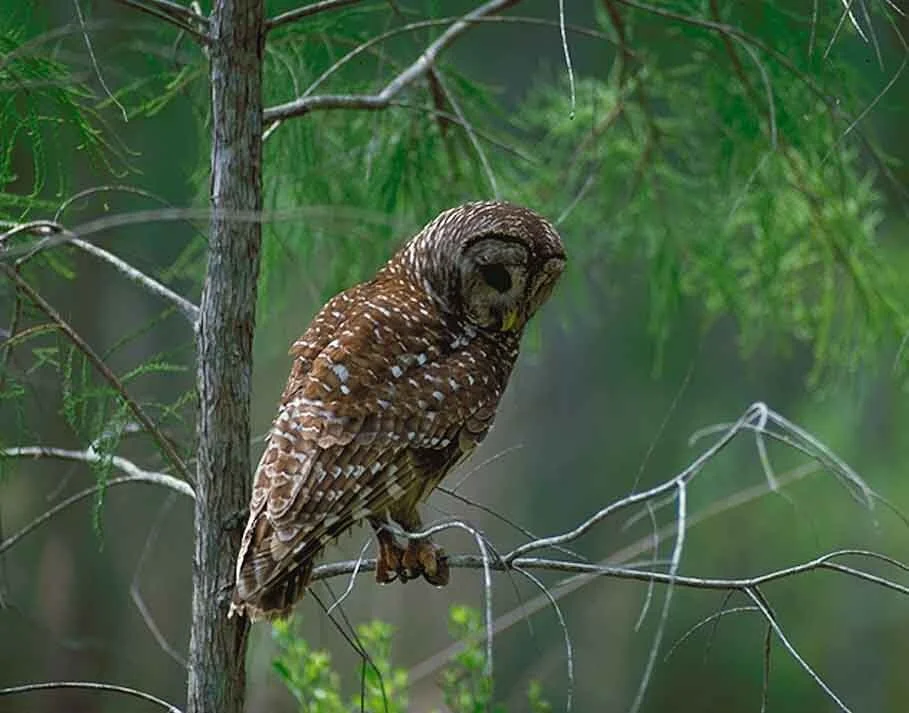 May 10, 2005 Task Force Meeting