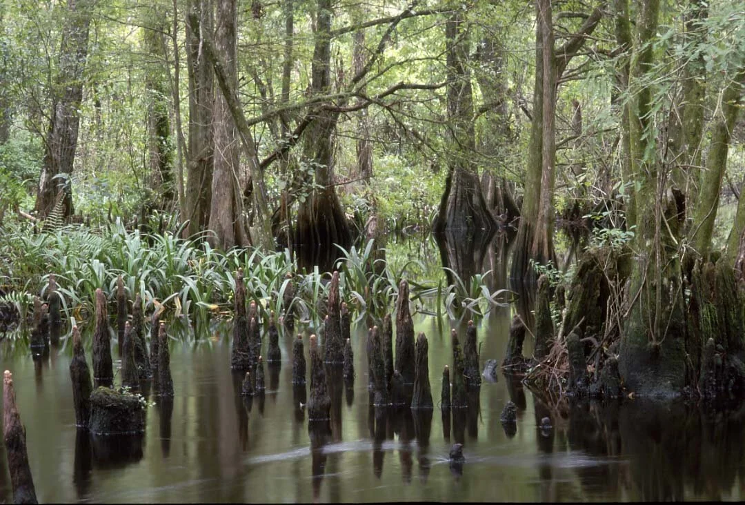 May 24, 2000 Task Force Meeting