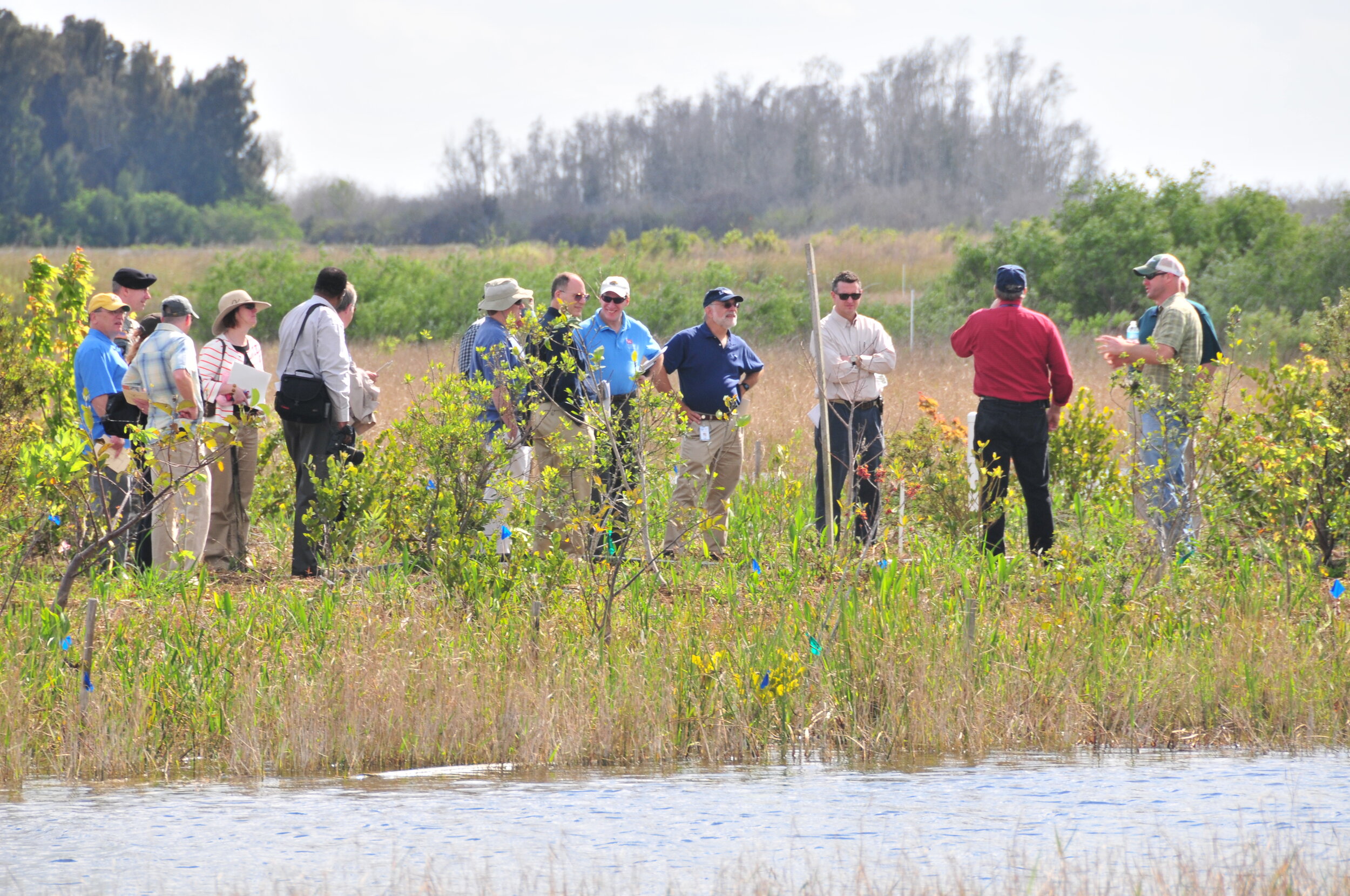 December 1, 2004 Task Force Meeting
