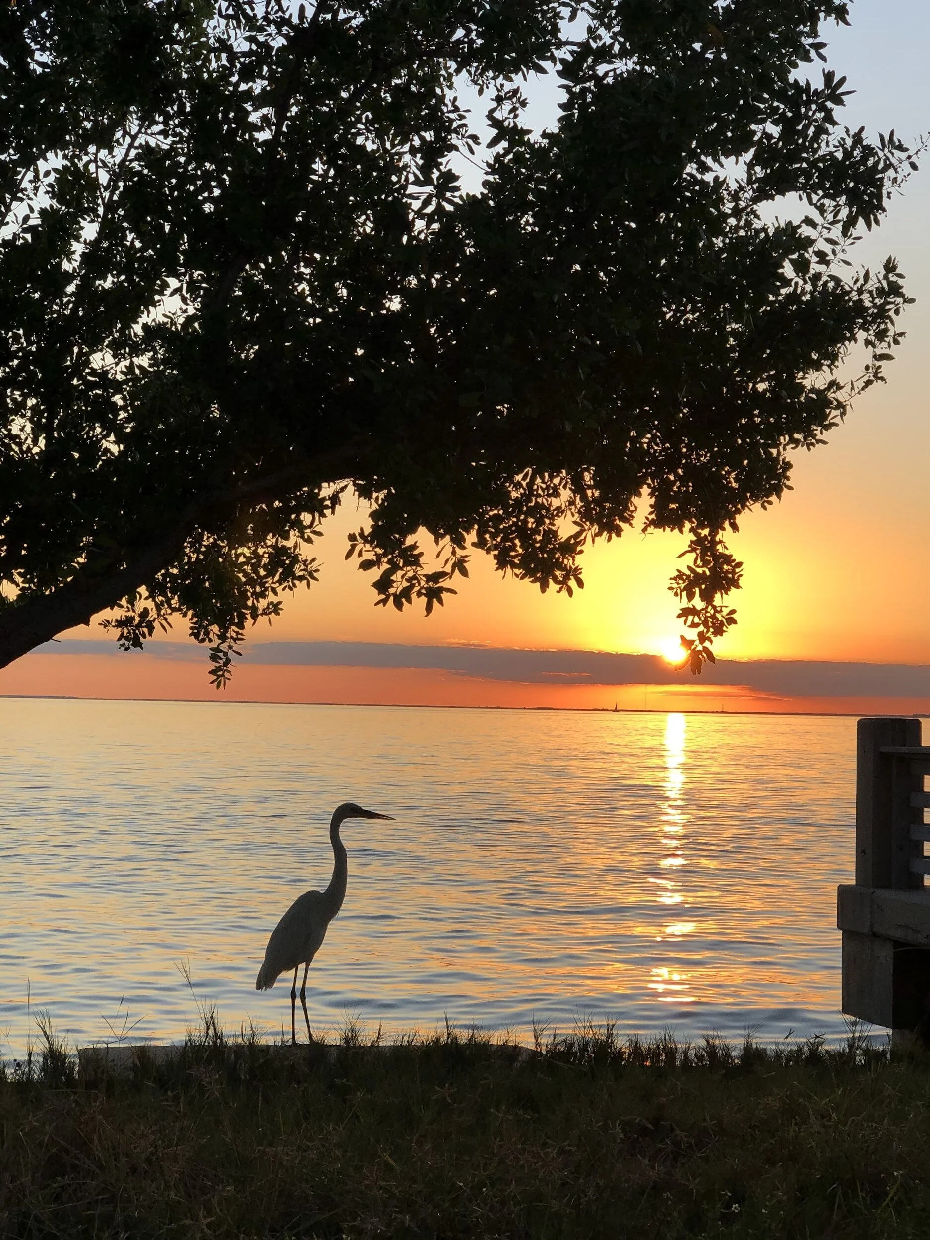September 7, 2023 - Florida's Coral Reef Coordination Team Meeting