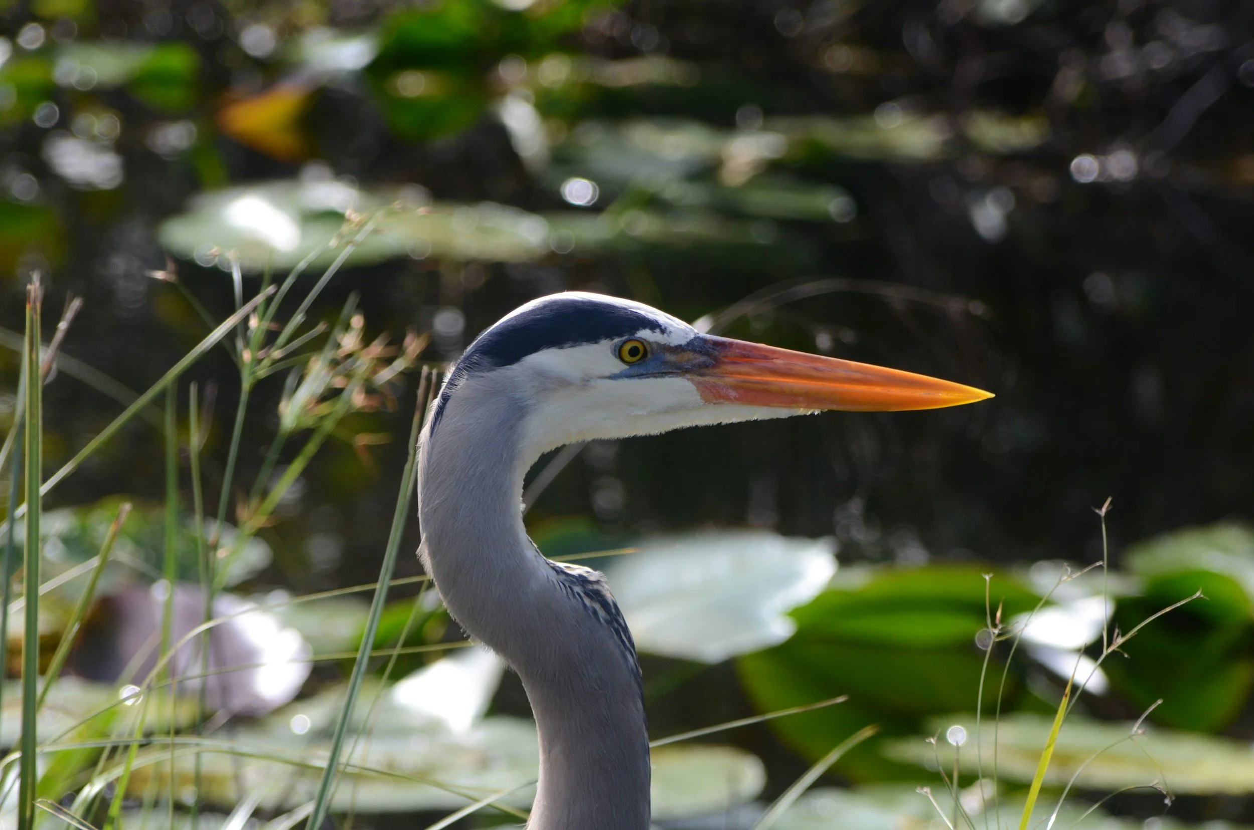 March 19, 2025 - Joint Science Coordination Group/Working Group Meeting