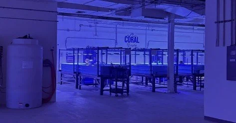 October 7, 2026 - Florida's Coral Reef Coordination Team Meeting