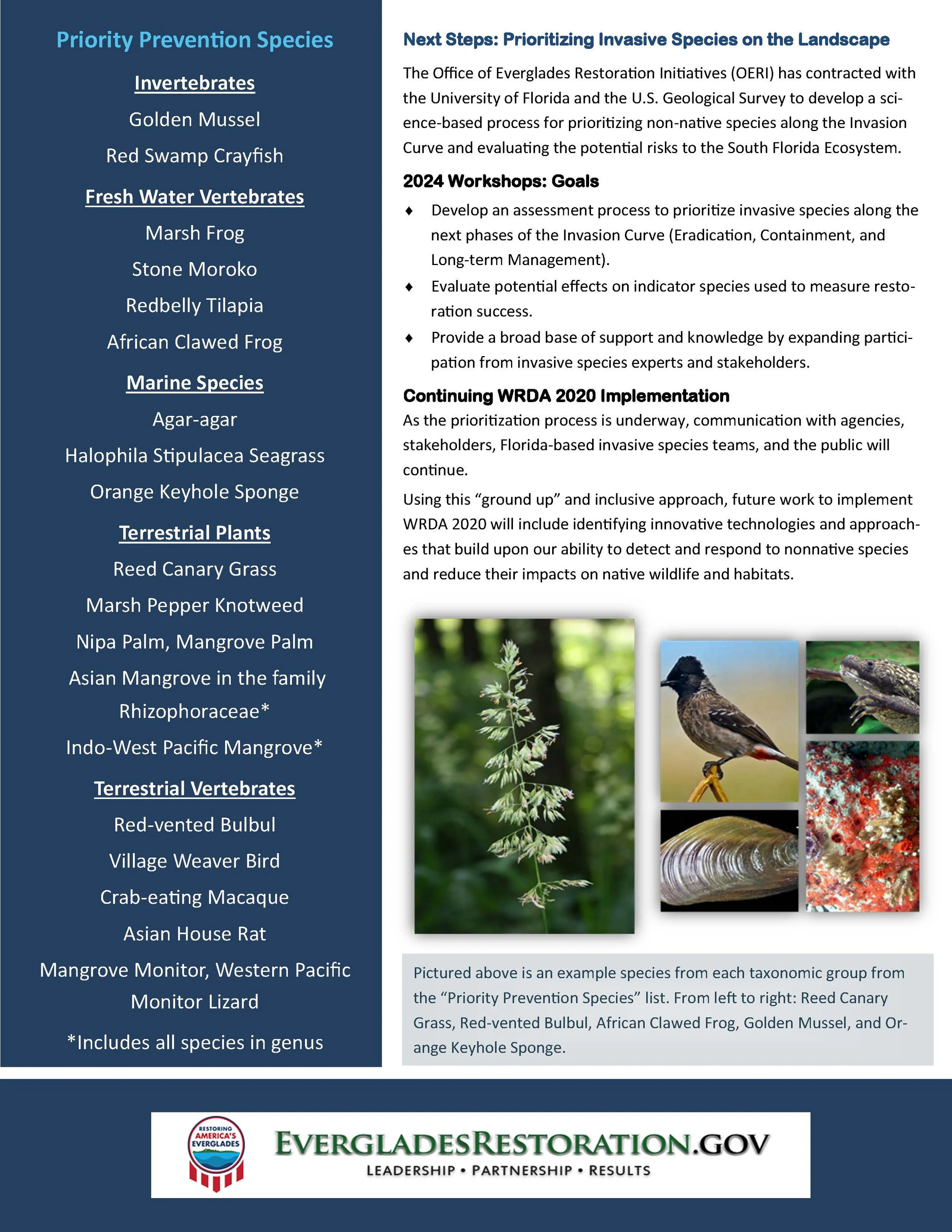 Invasive Species — Everglades Restoration Initiatives