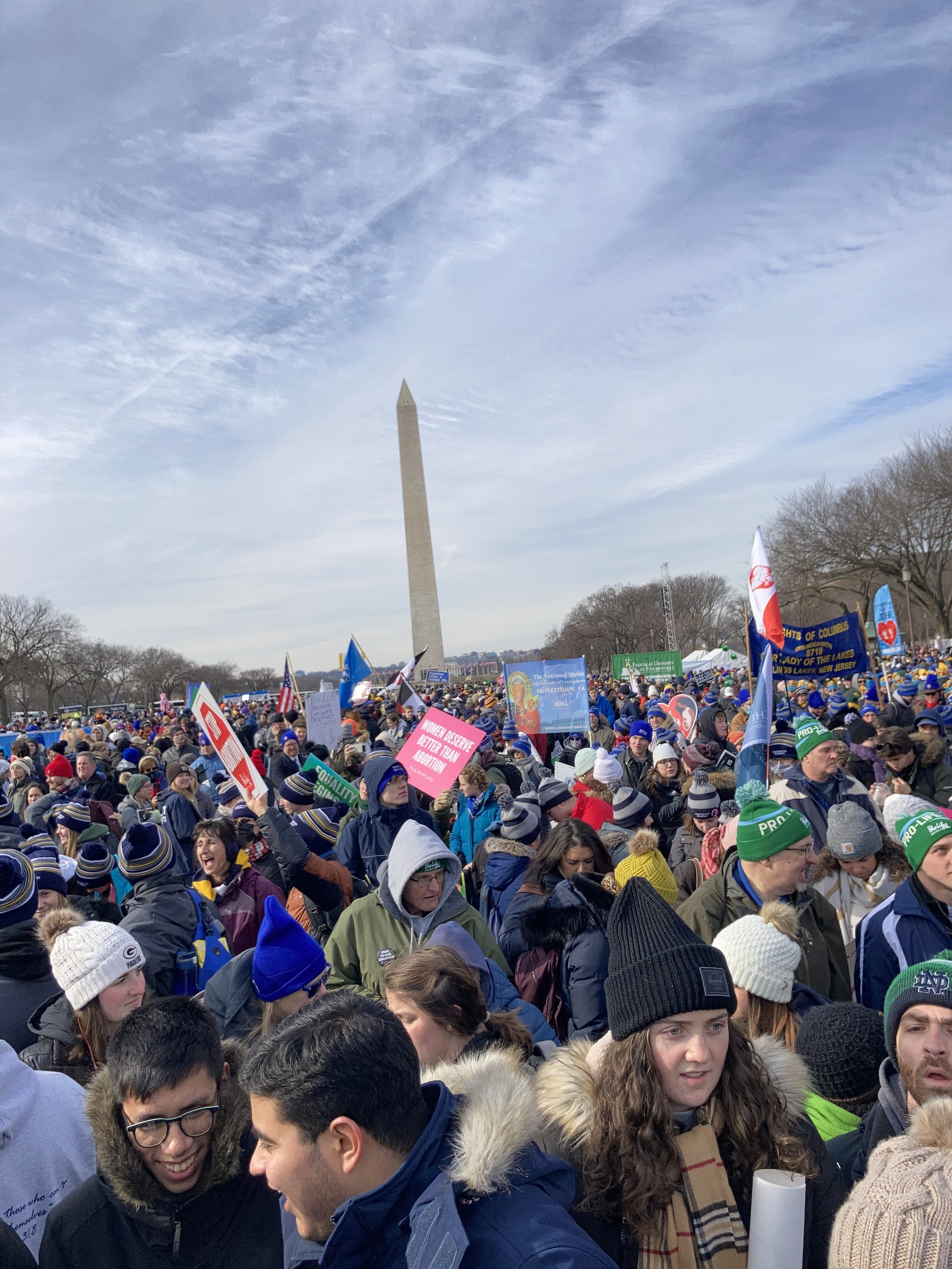 An endless sea of Americans gathered in the National Mall to promote the dignity of life