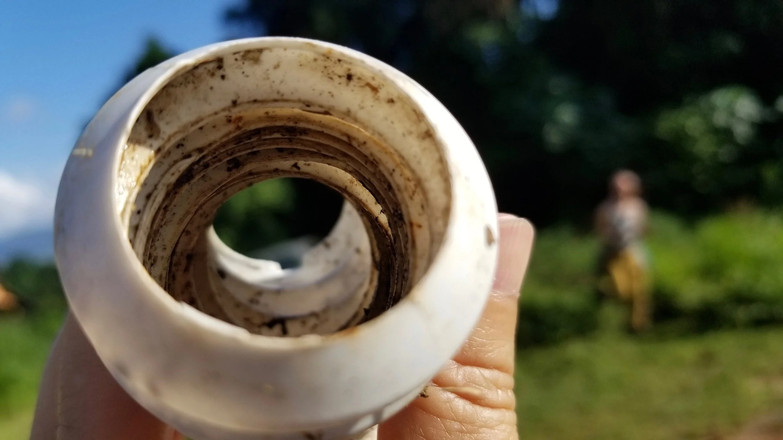  Ana Luiza Gonçalves de Souza 