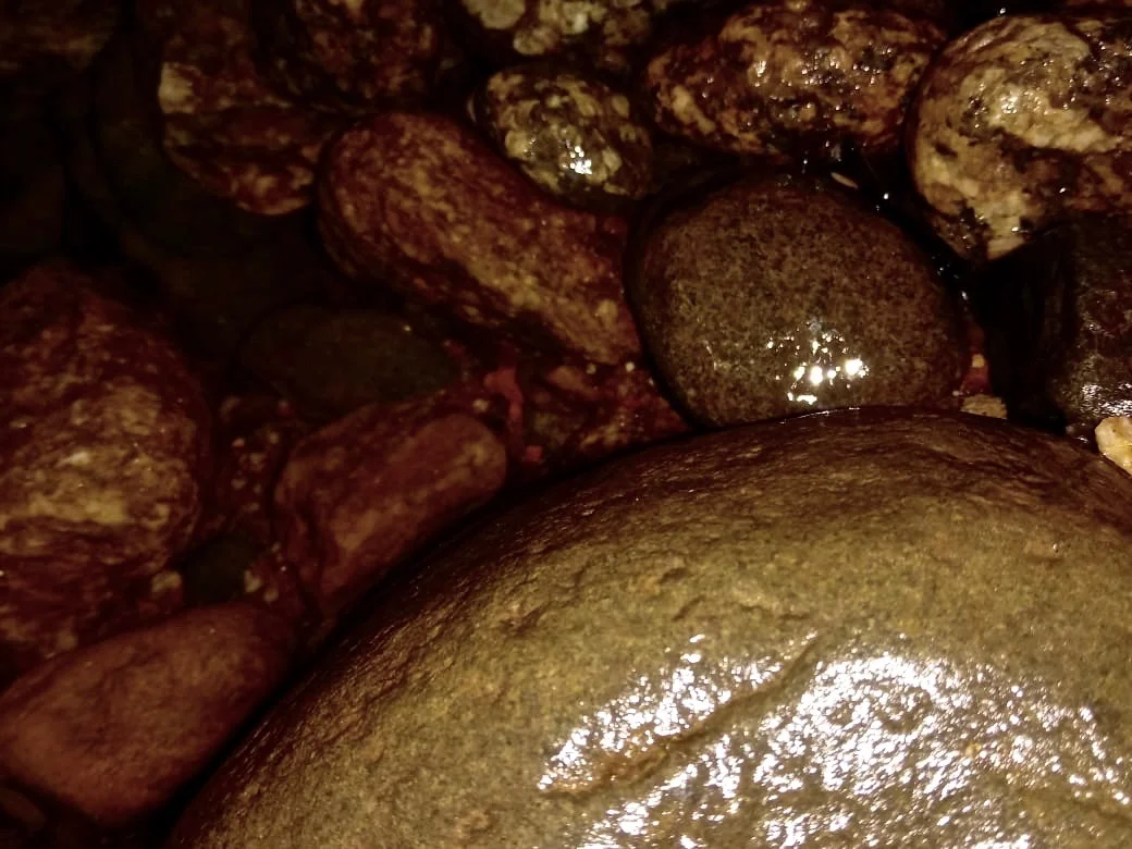  Cibelly Cecilia Gomes Mariano 