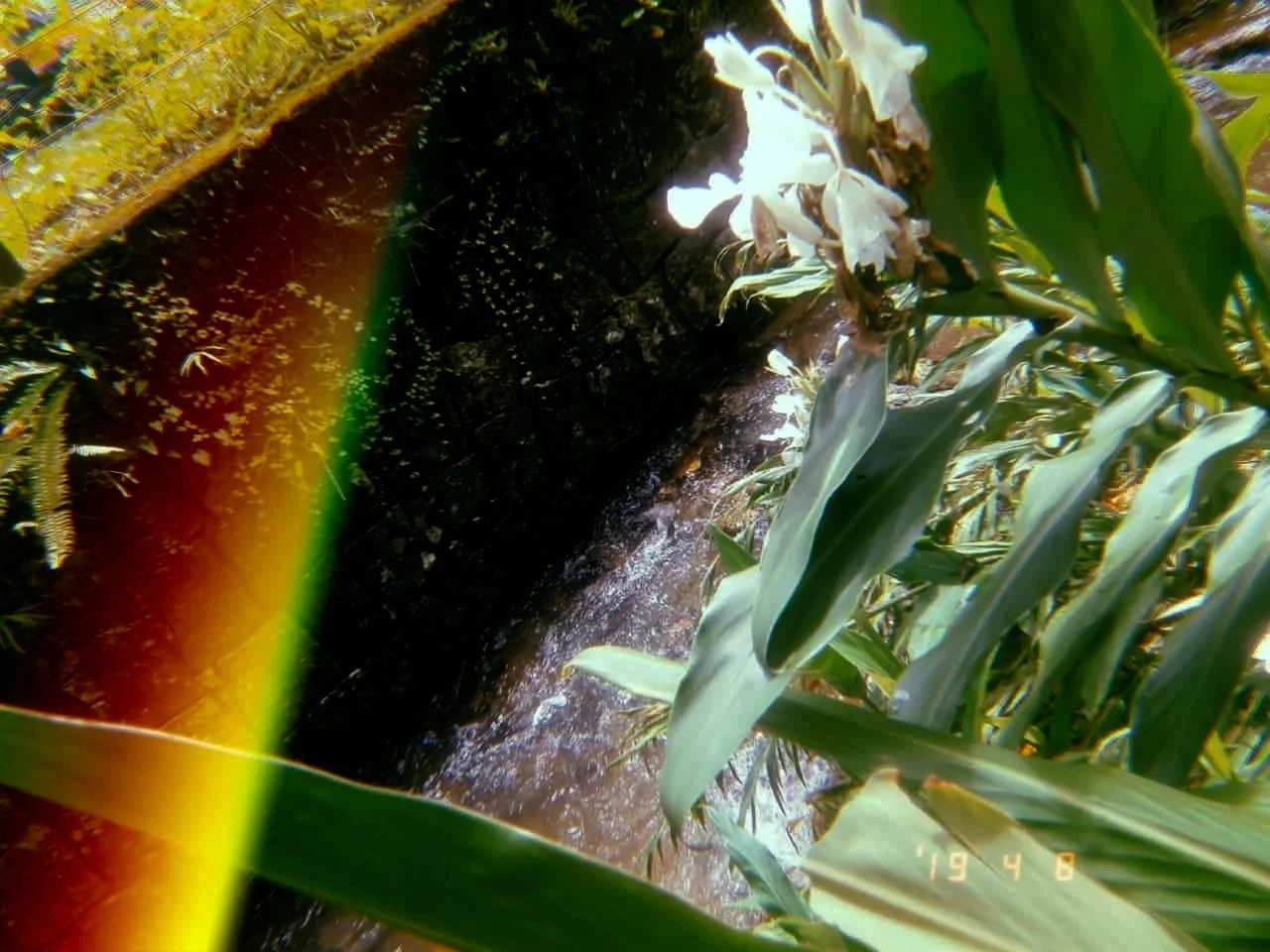  Nicole Oliveira Santana 