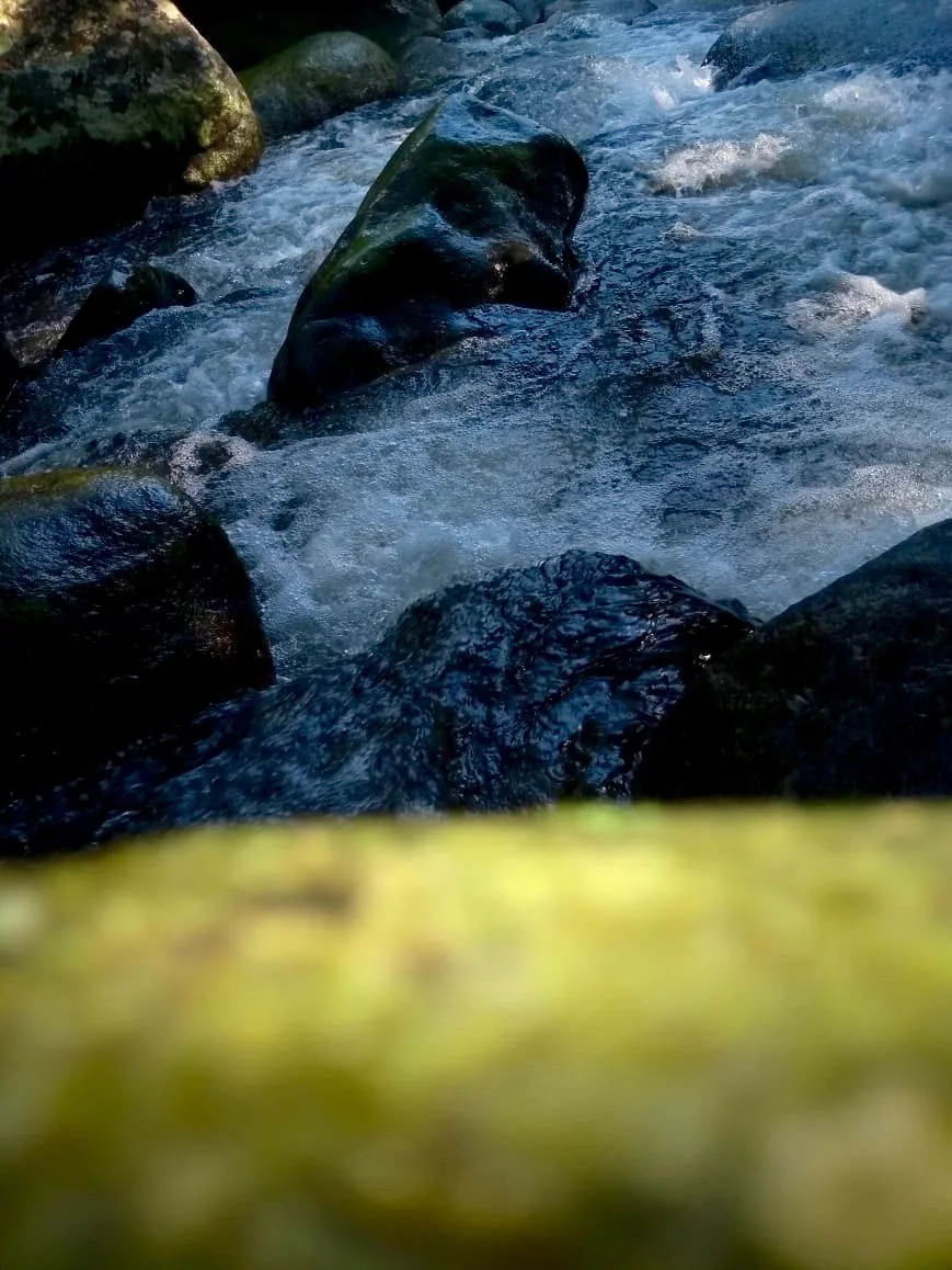  Eduardo Kawiny Serafim da Silva 