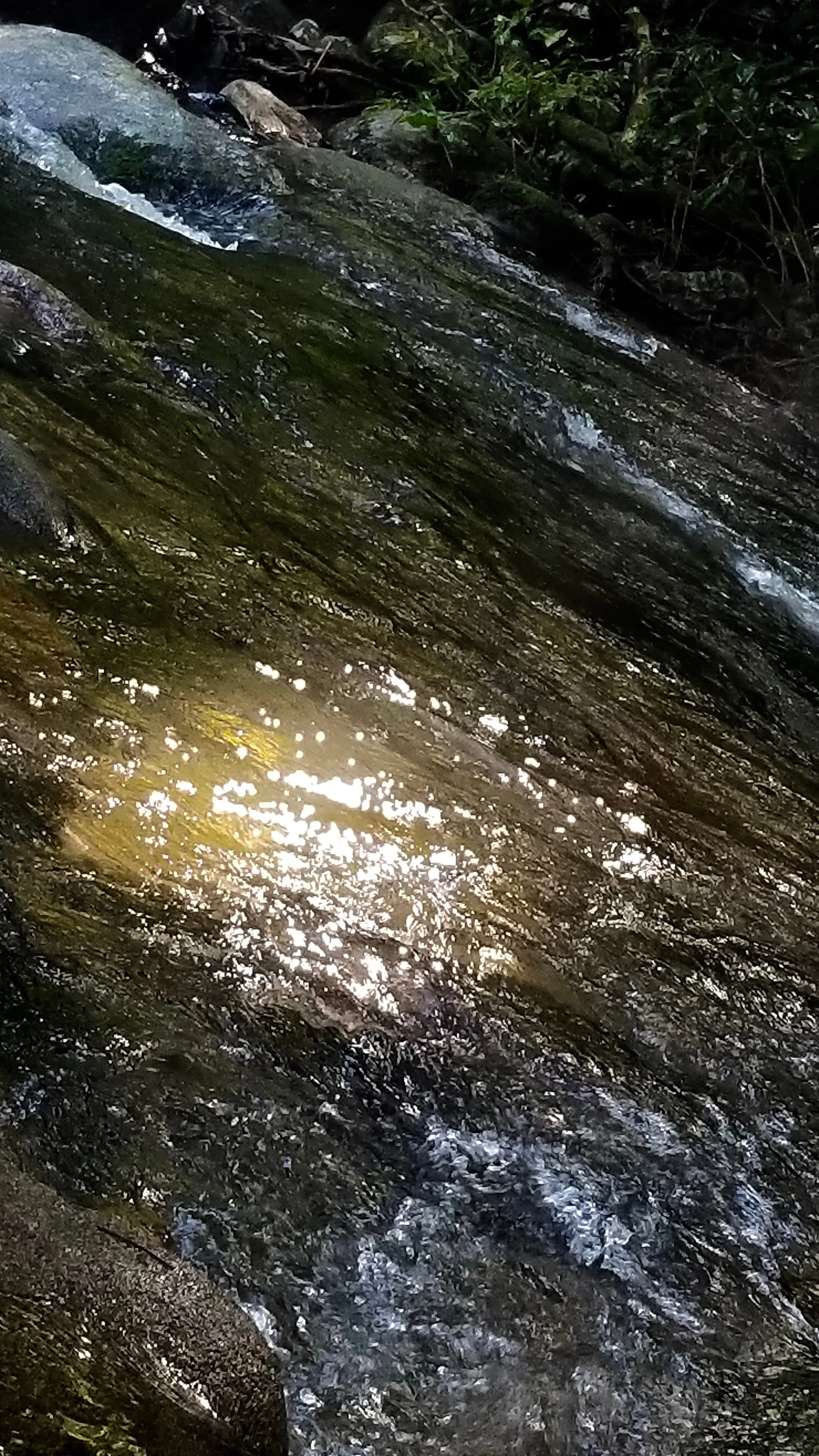  Nicolas Segundo Ferraz 