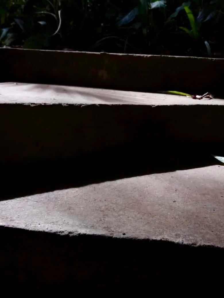  Cibelly Cecilia Gomes Mariano 