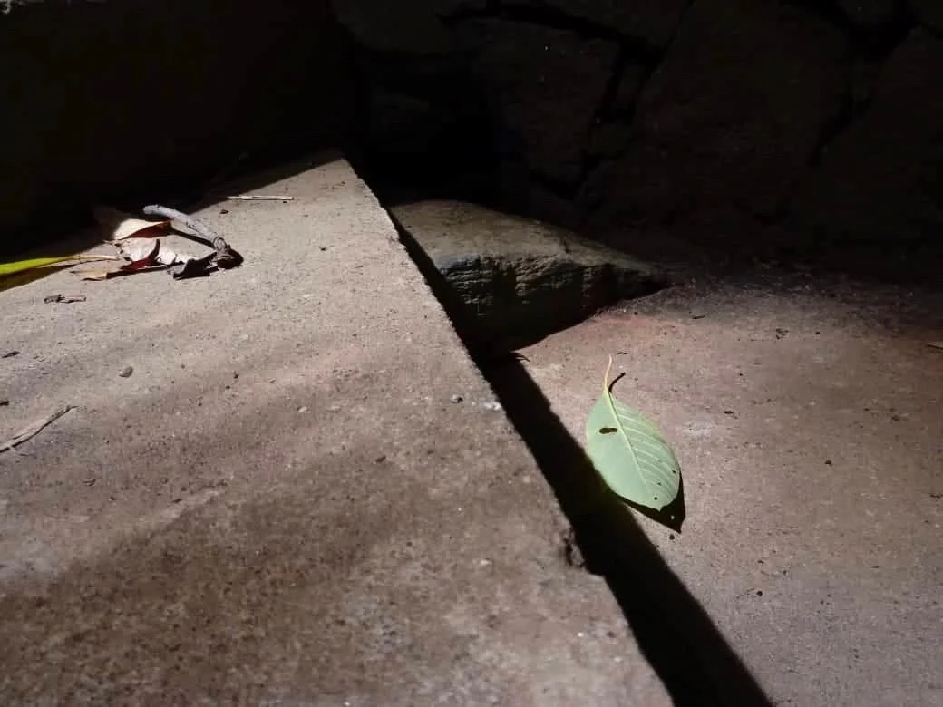  Cibelly Cecilia Gomes Mariano 