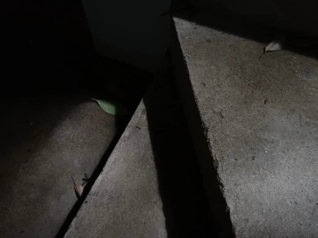  Cibelly Cecilia Gomes Mariano 