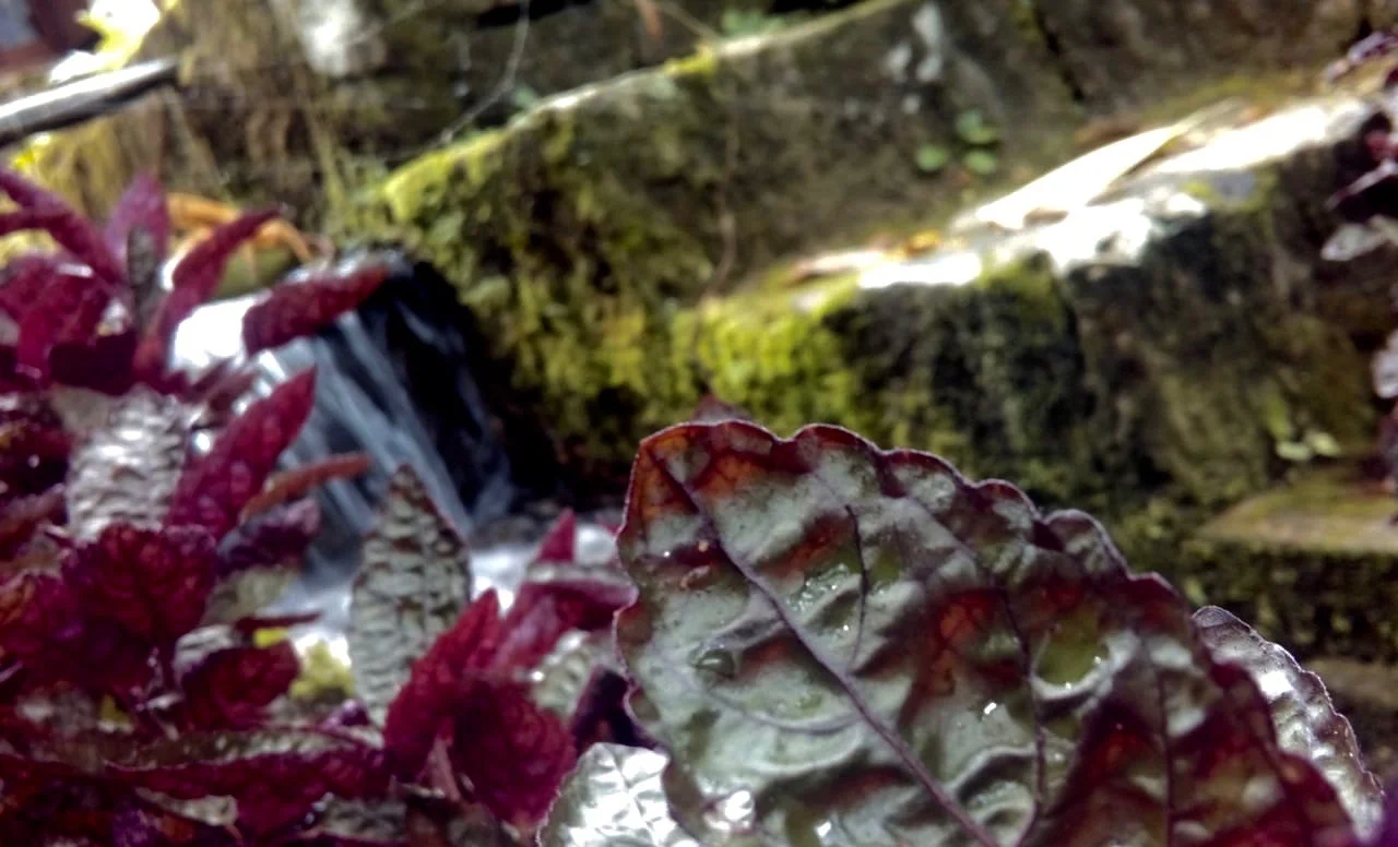  Sabrina Pereira Chaves 