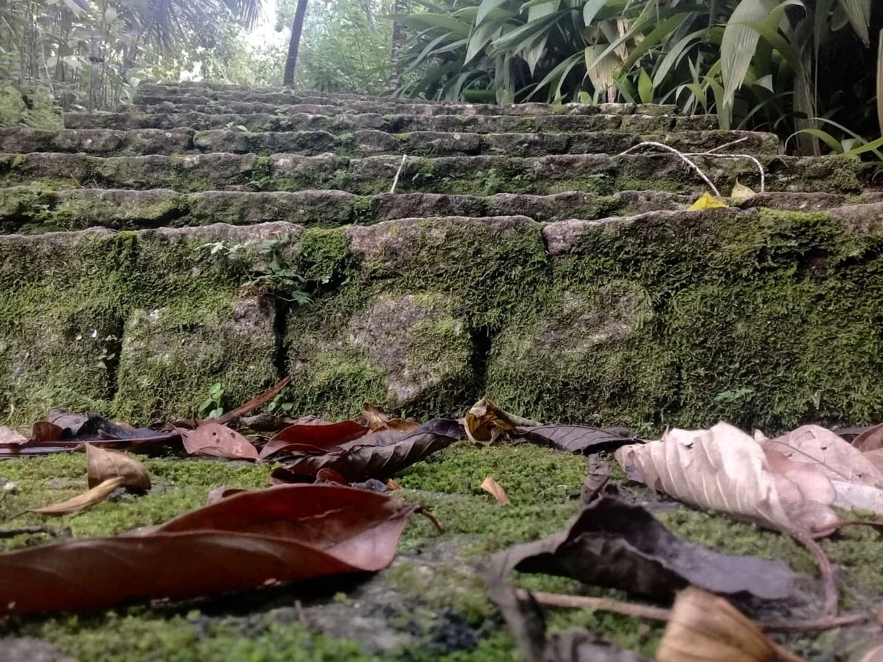  Tacylla de Almeida Dias 