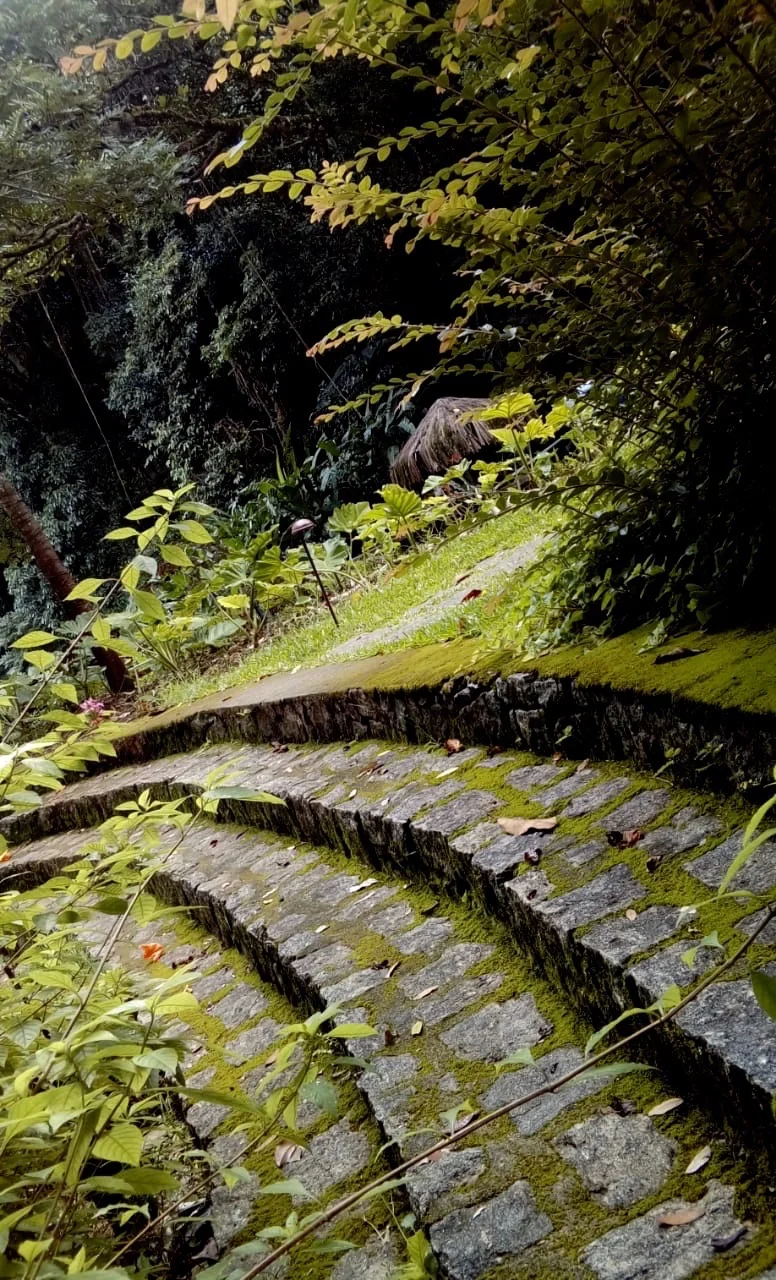  Sabrina Pereira Chaves 