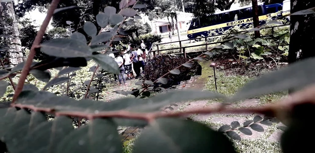  Maria Paula Simões de Souza 