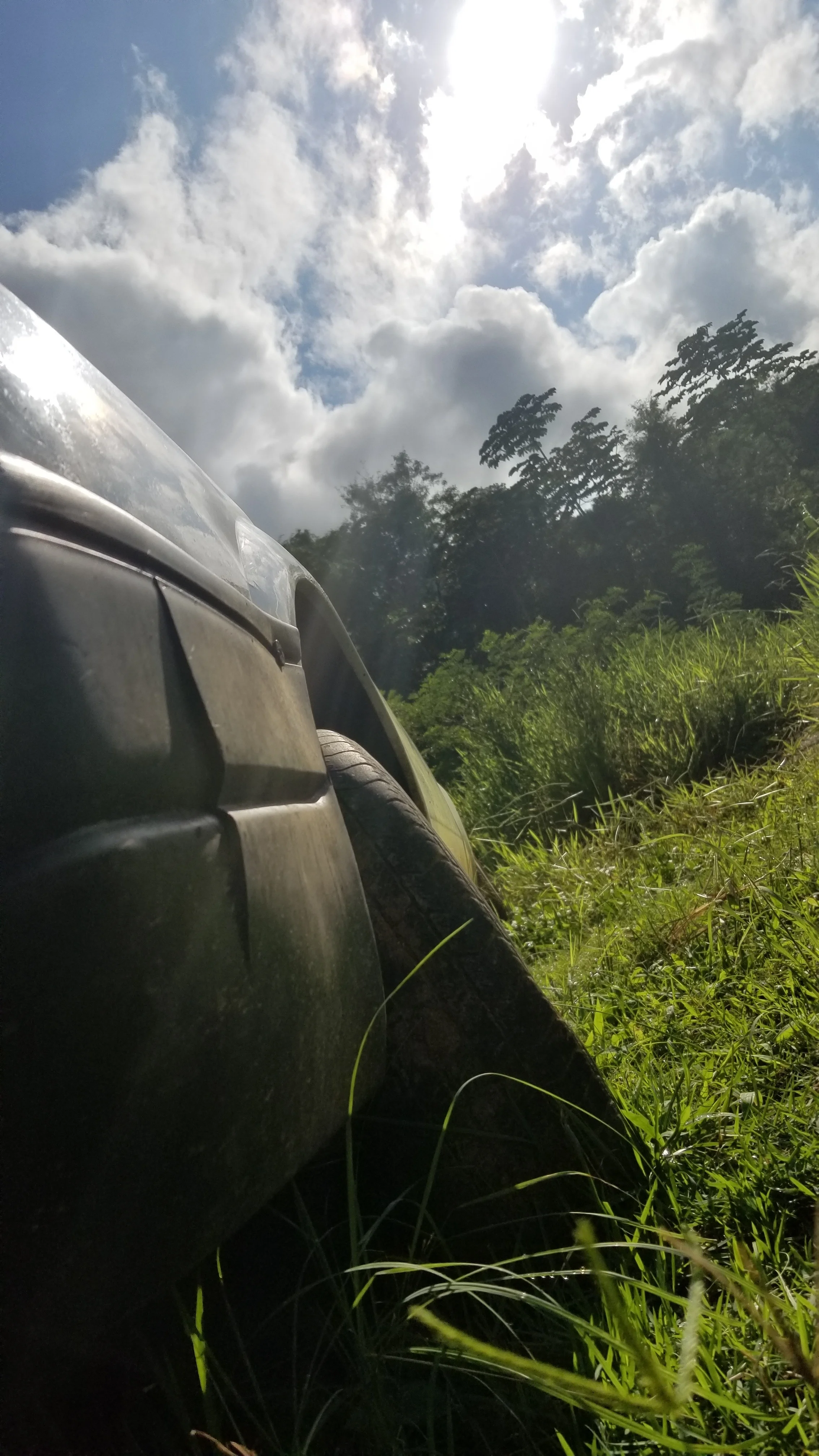  Ana Luiza Gonçalves de Souza 