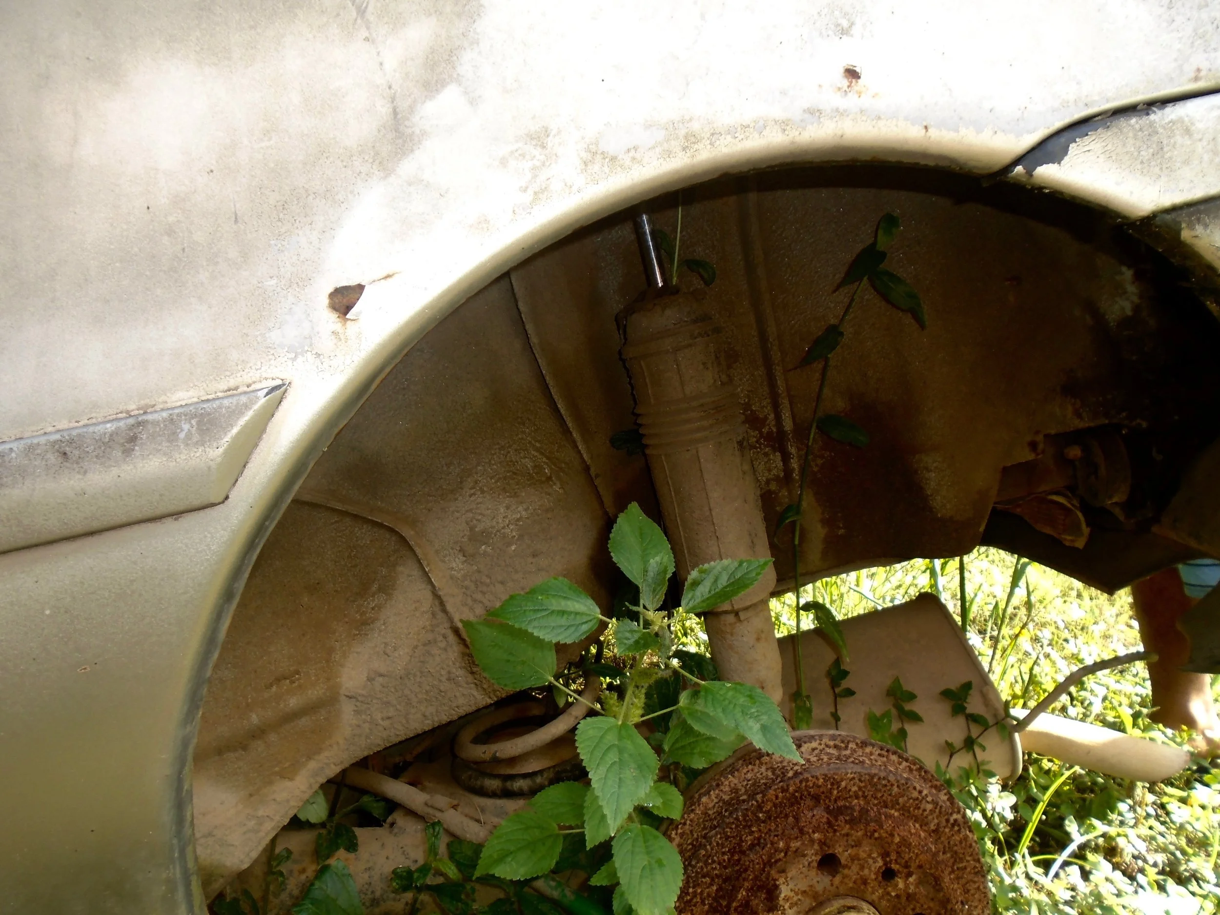  Ricardo dos Santos Batista .JPG 