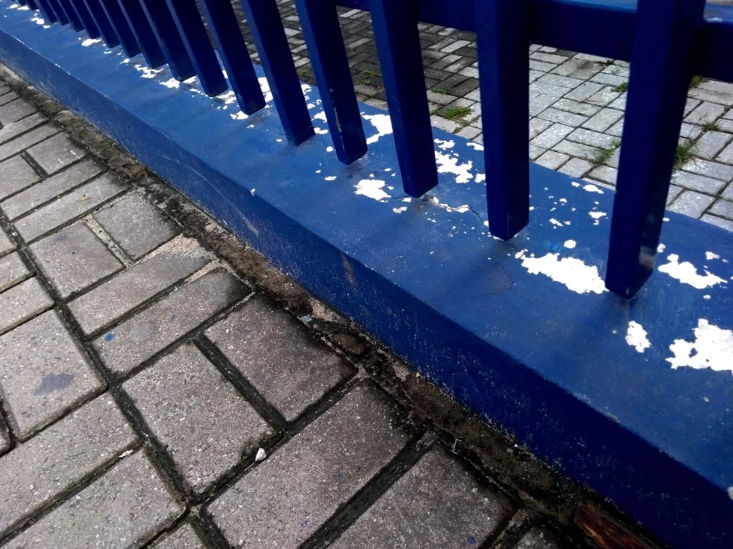  Nicolas Ferreira da Silva 