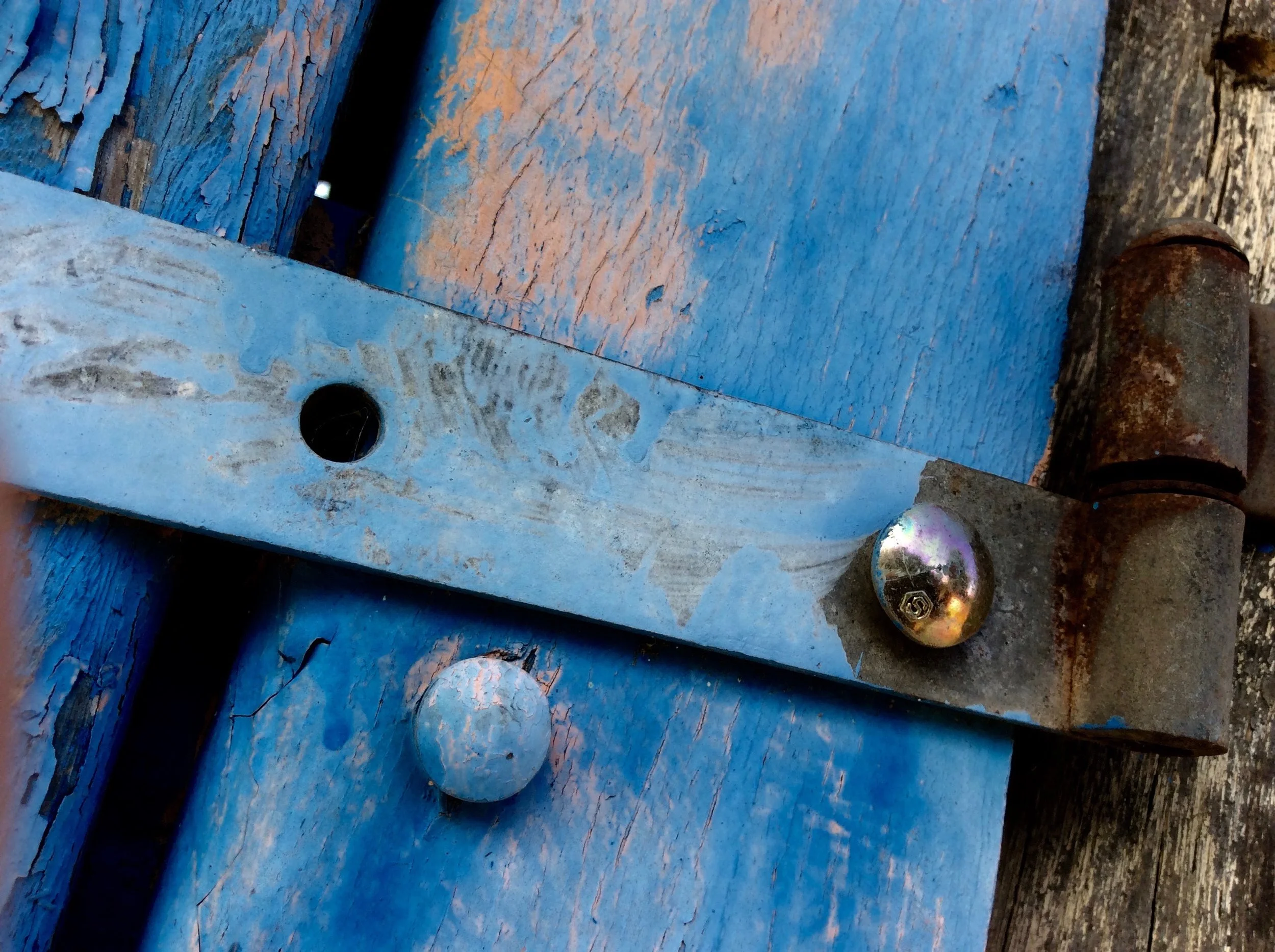  Milena Lopes de Oliveira 