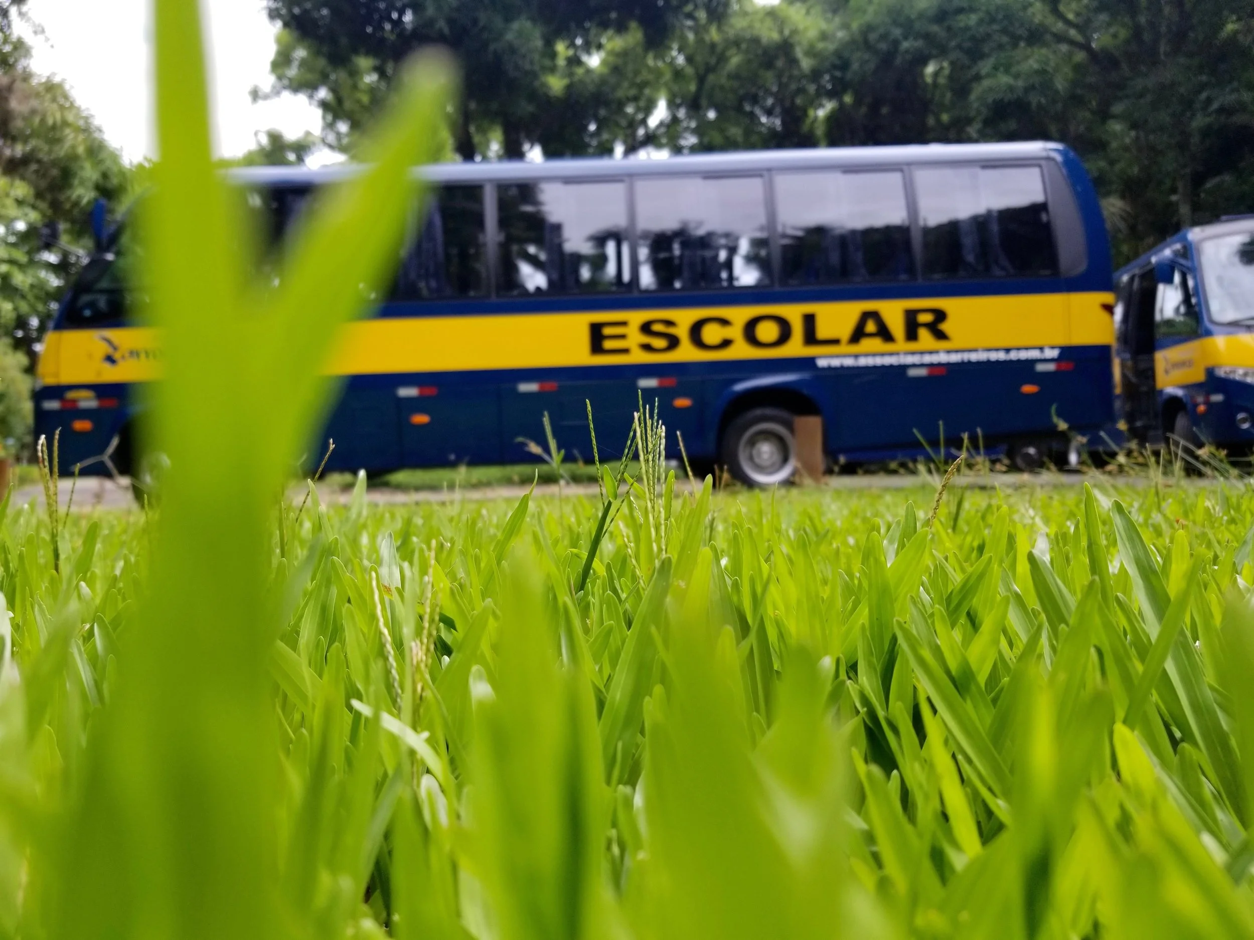  Nicole Rodrigues Franco 