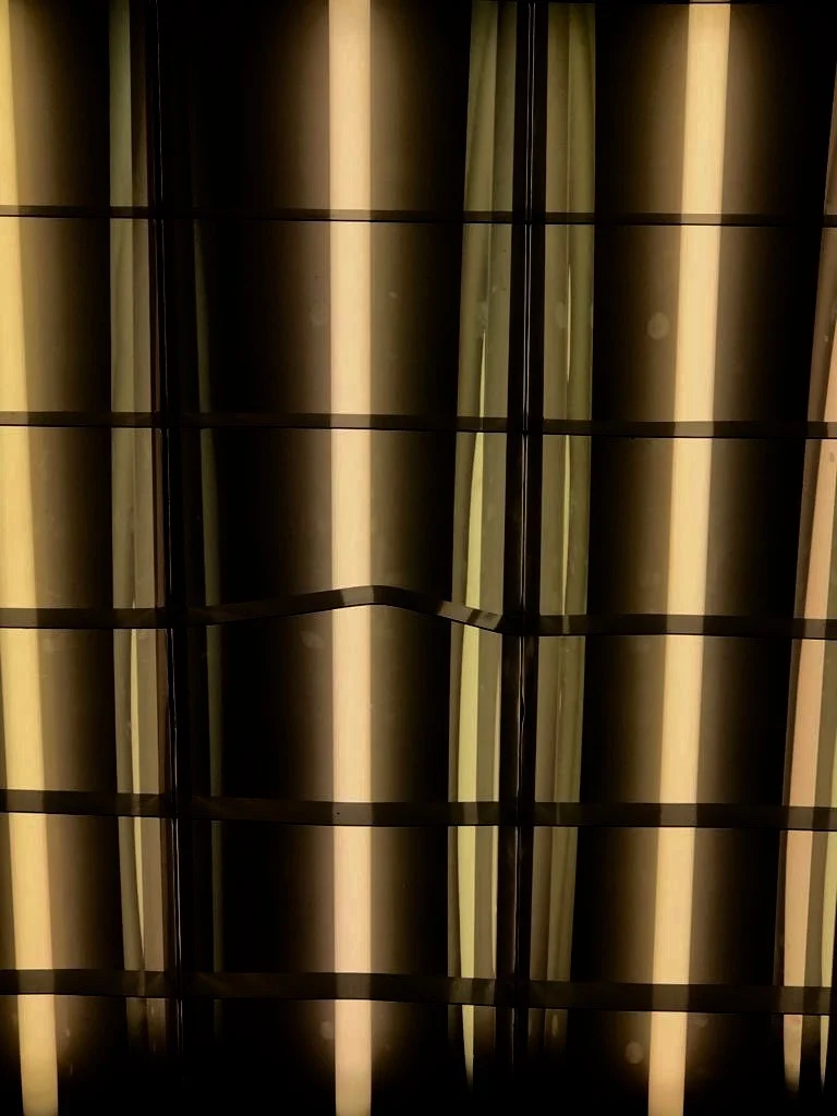  Fabiana Seguchi Toledo 