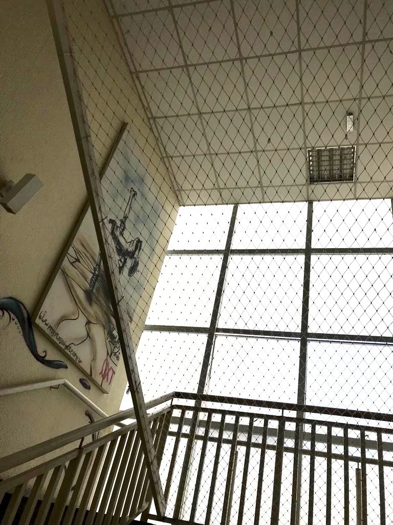  Fabiana Seguchi Toledo 