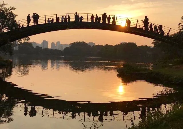  Fabiana Seguchi Toledo 