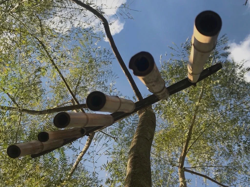  Fabiana Seguchi Toledo 