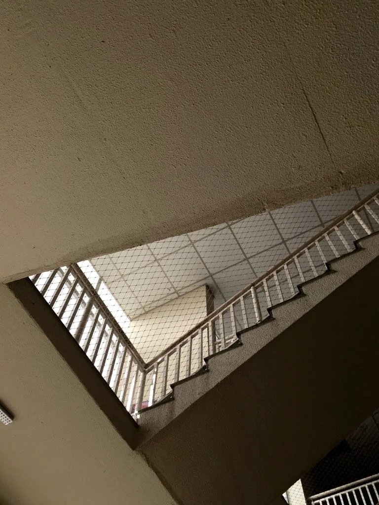  Kimberly Seguchi Toledo 