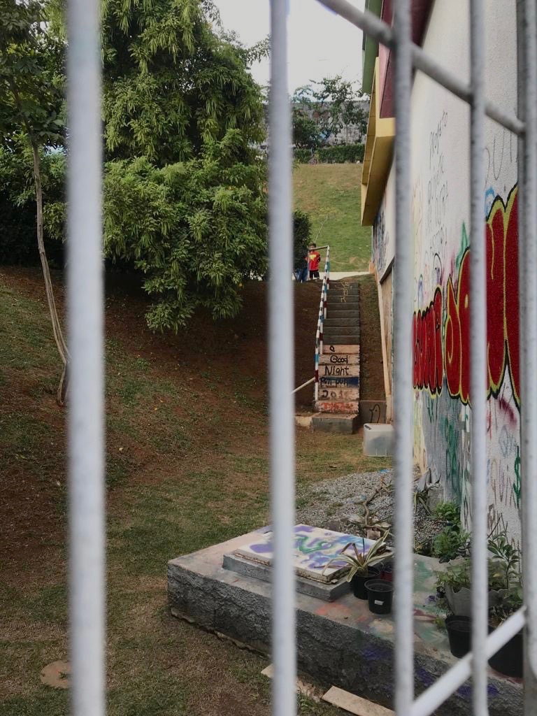  Fabiana Seguchi Toledo 