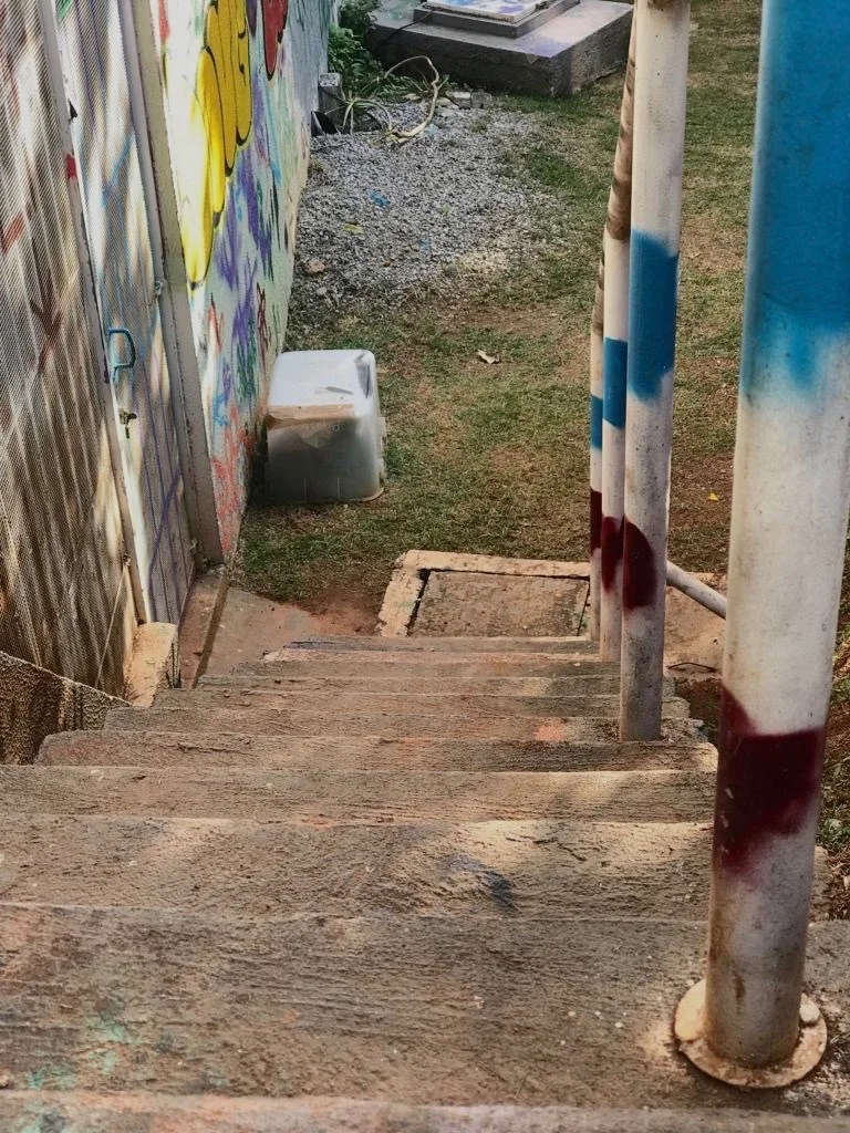  Fabiana Seguchi Toledo 