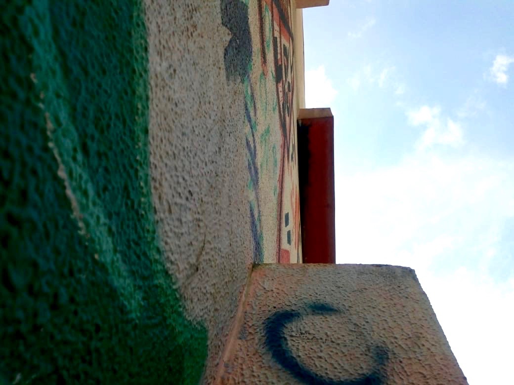  Frederico e Thomás Mendonça Gonçalves 