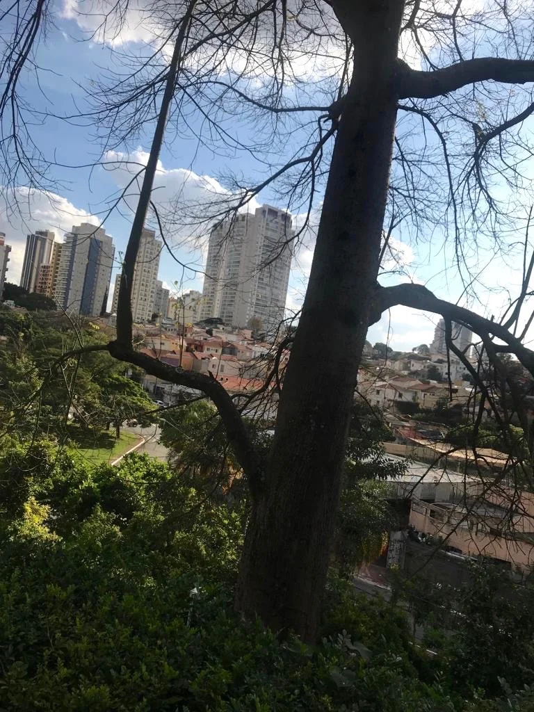  Fabiana Seguchi Toledo 