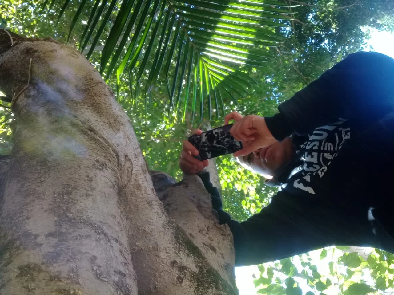  Lucas Rodrigues Libanio Tancredi 